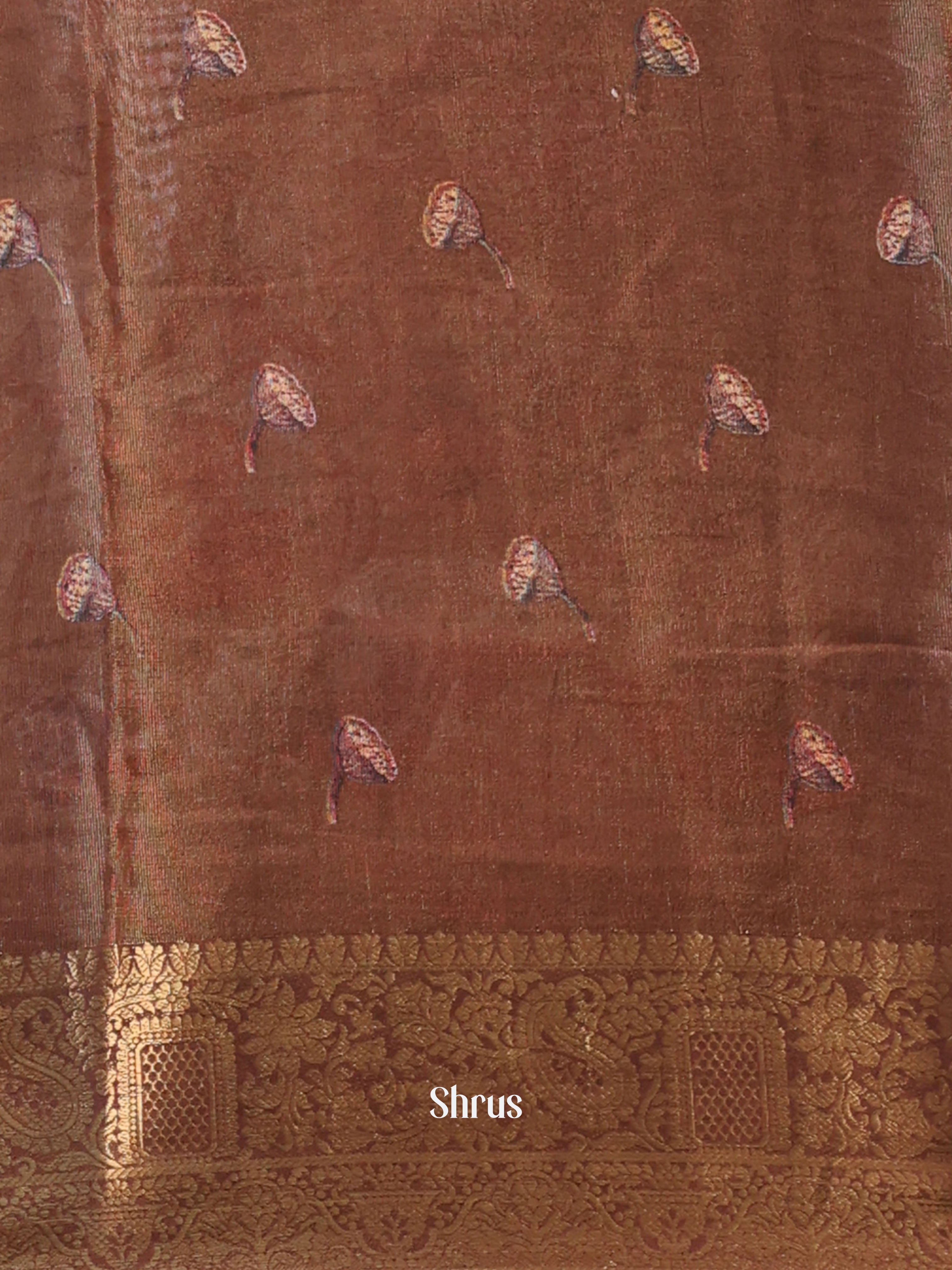 CIS13063 - Semi Tissue Dola Saree