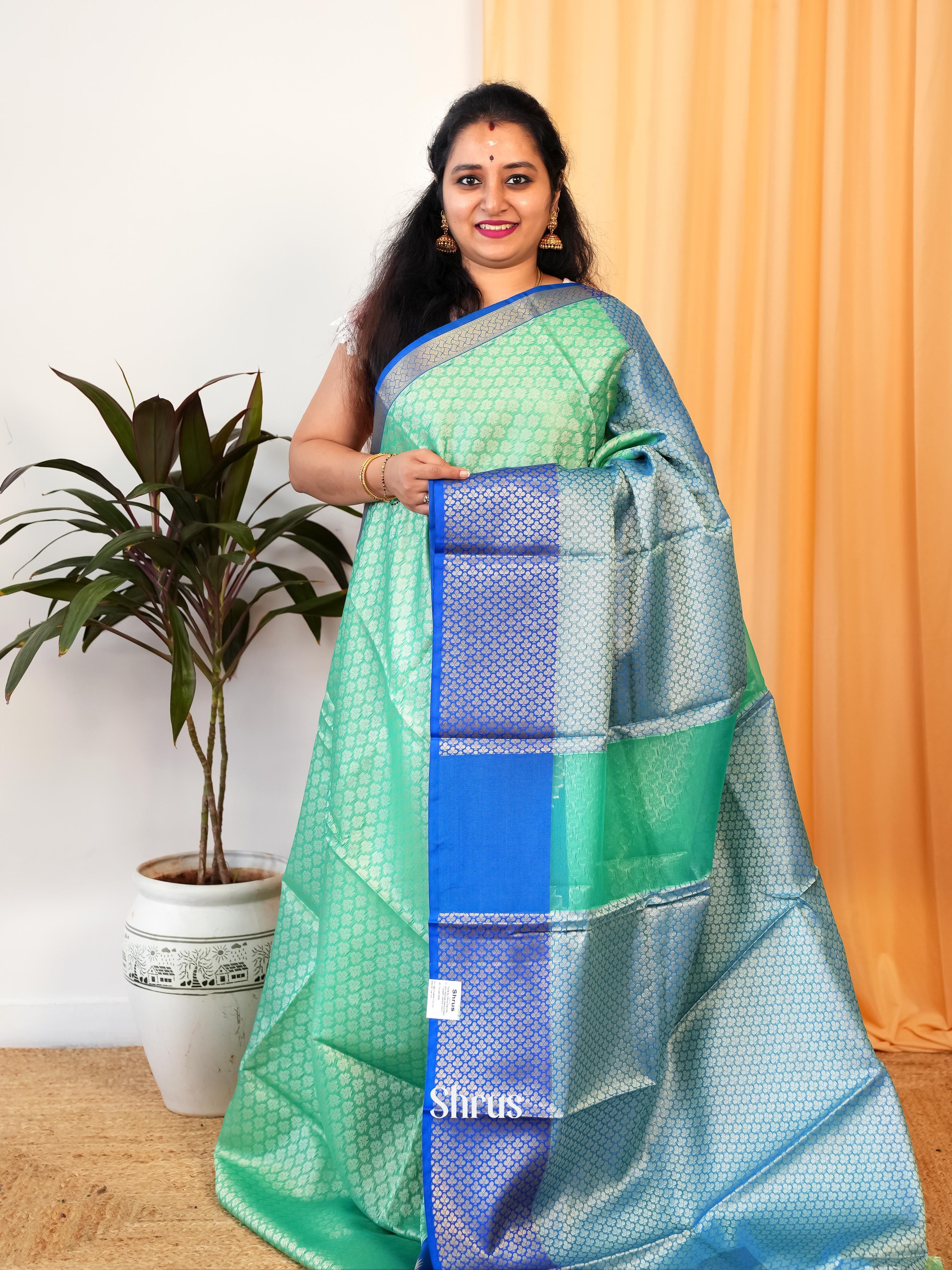 Pista Green & Blue - Tanchoi Saree