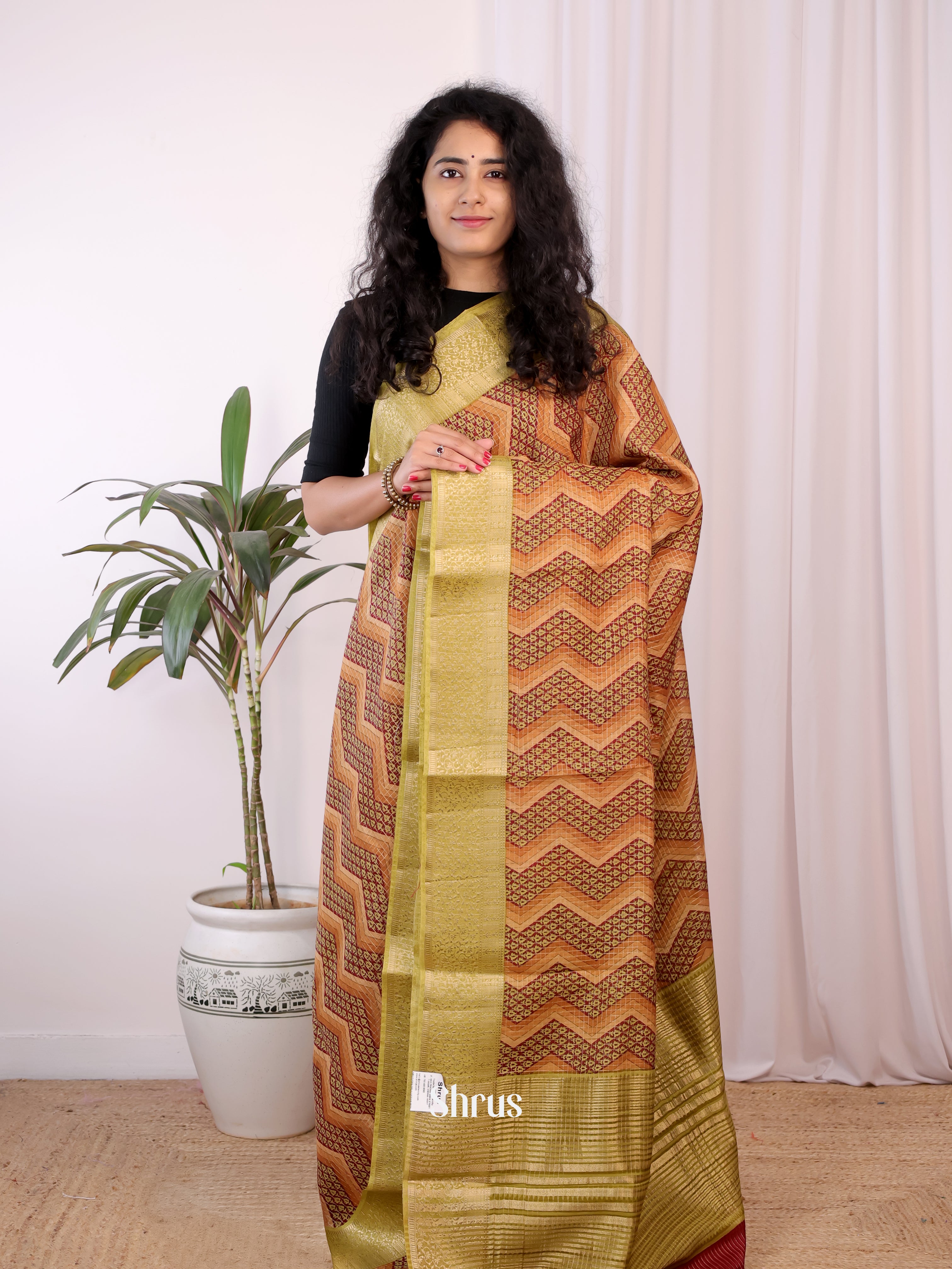 Brown & Green - Semi Chanderi Saree