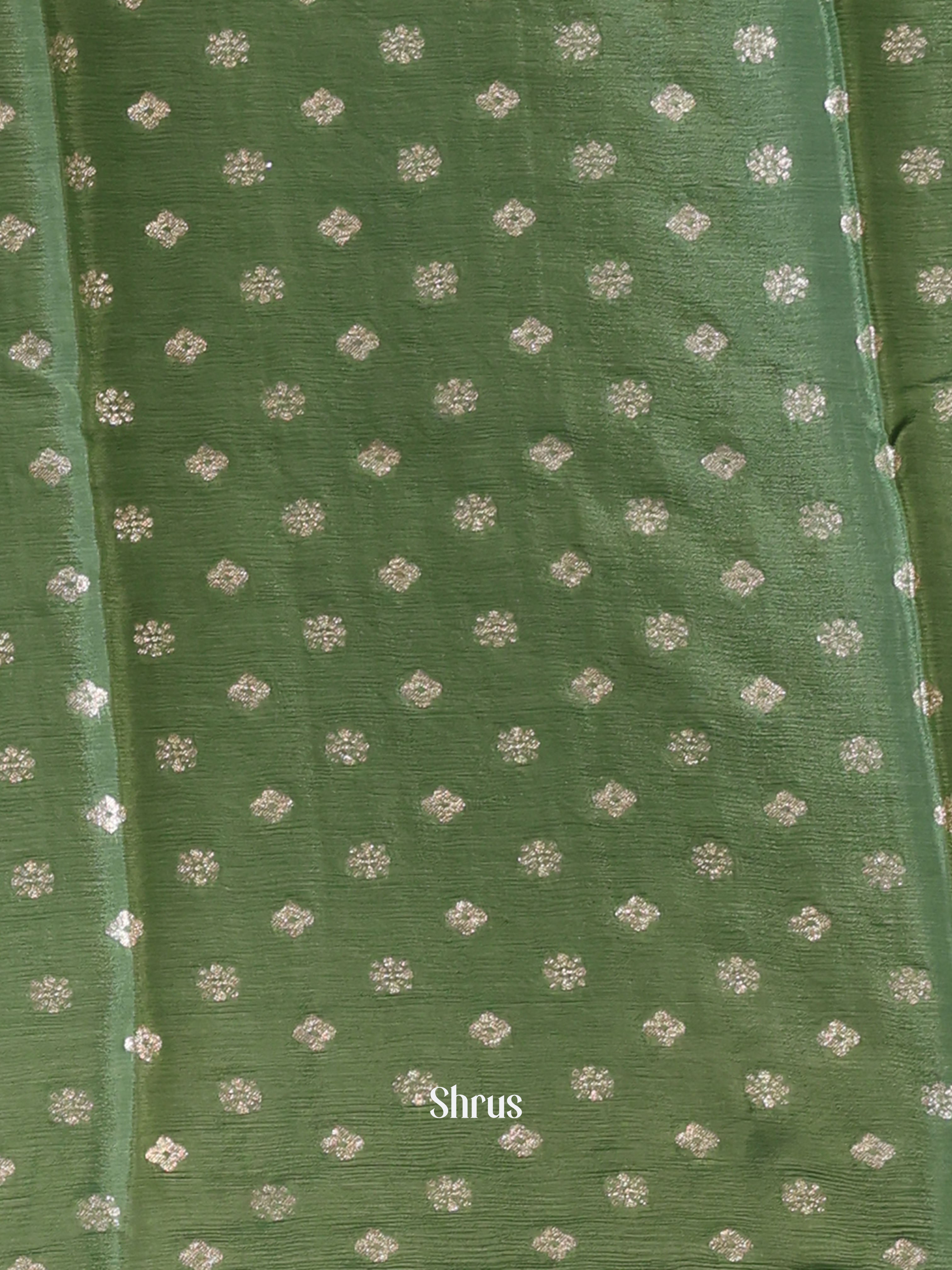 Pastel Green - Semi Organza Saree