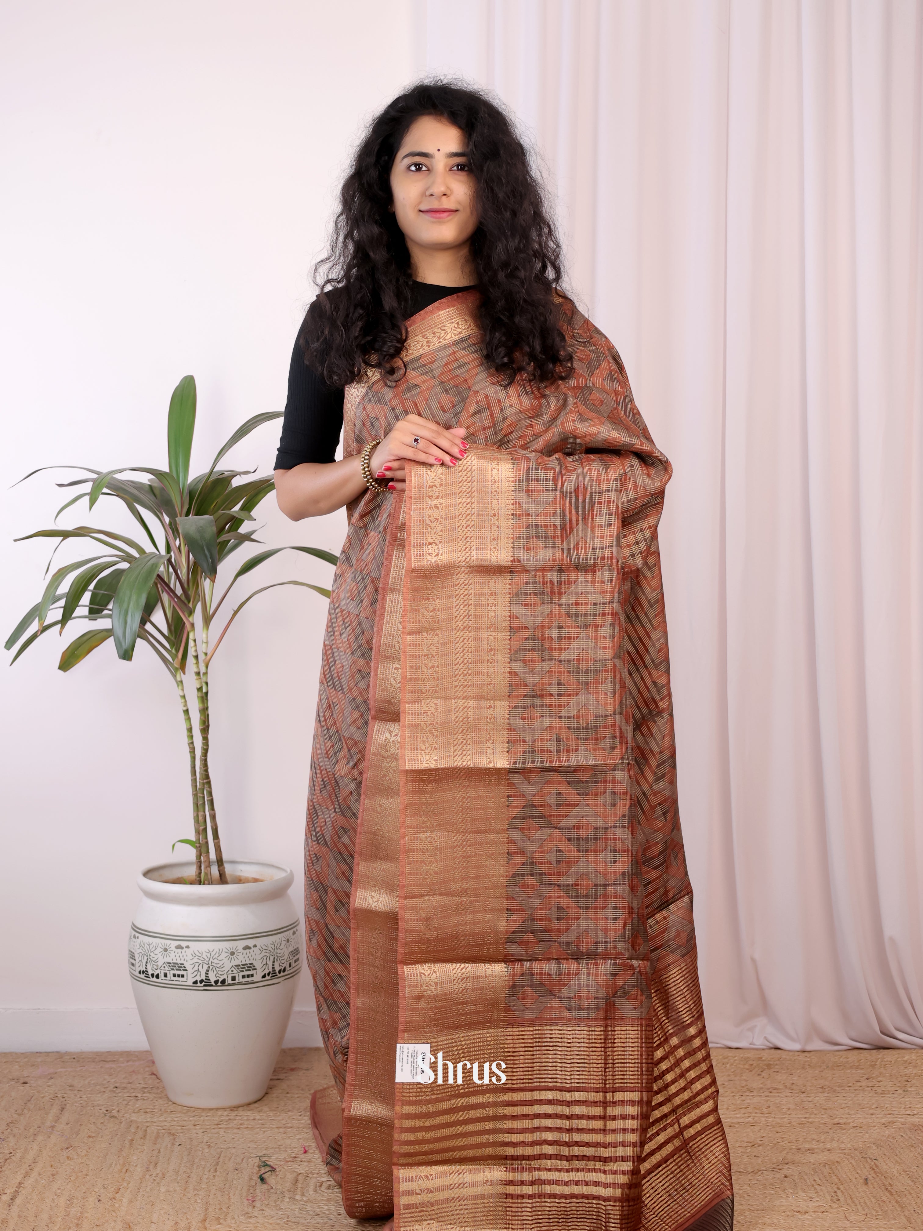 Brown - Semi Chanderi Saree