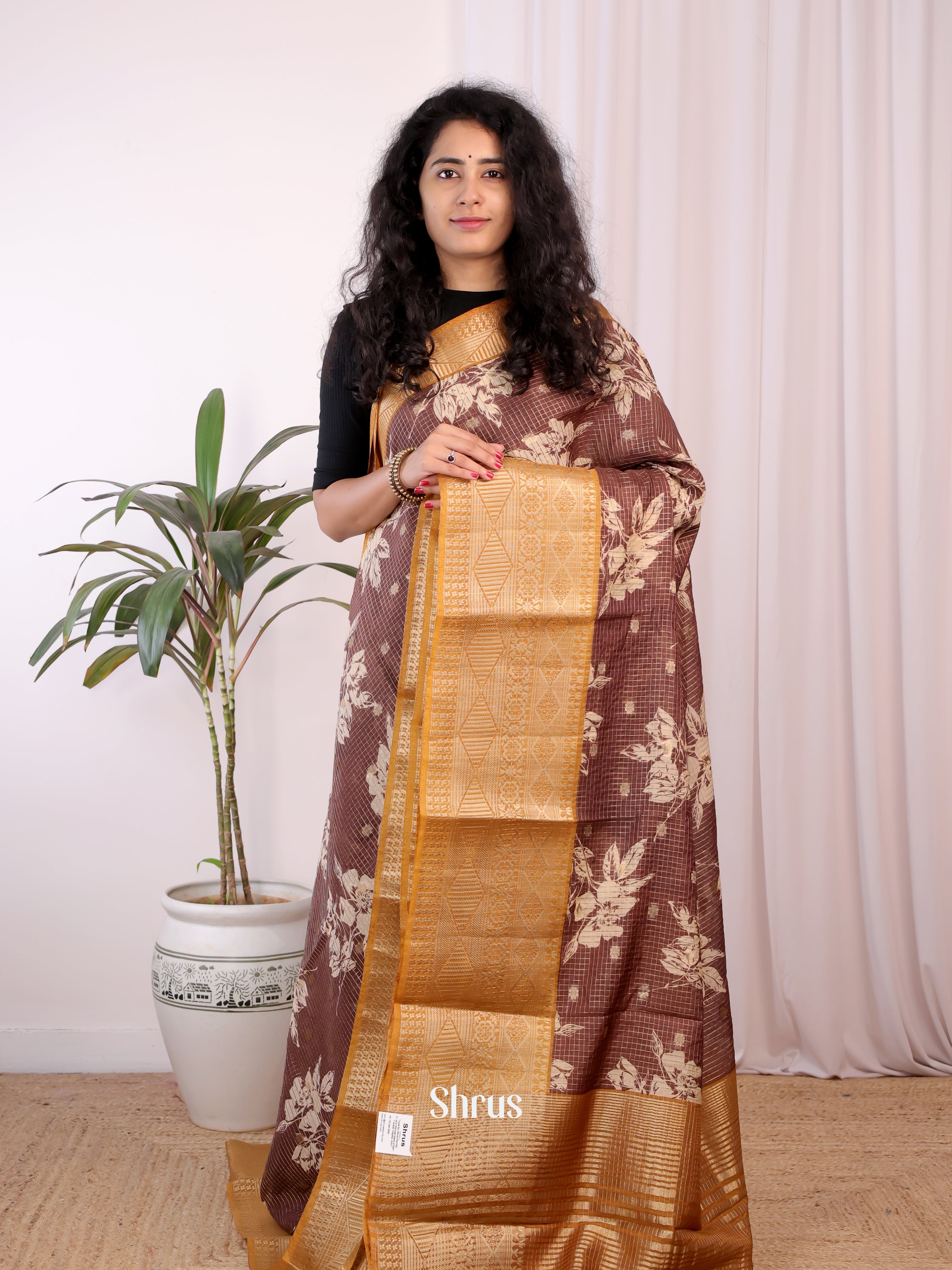 Brown & Mustard - Semi Chanderi Saree