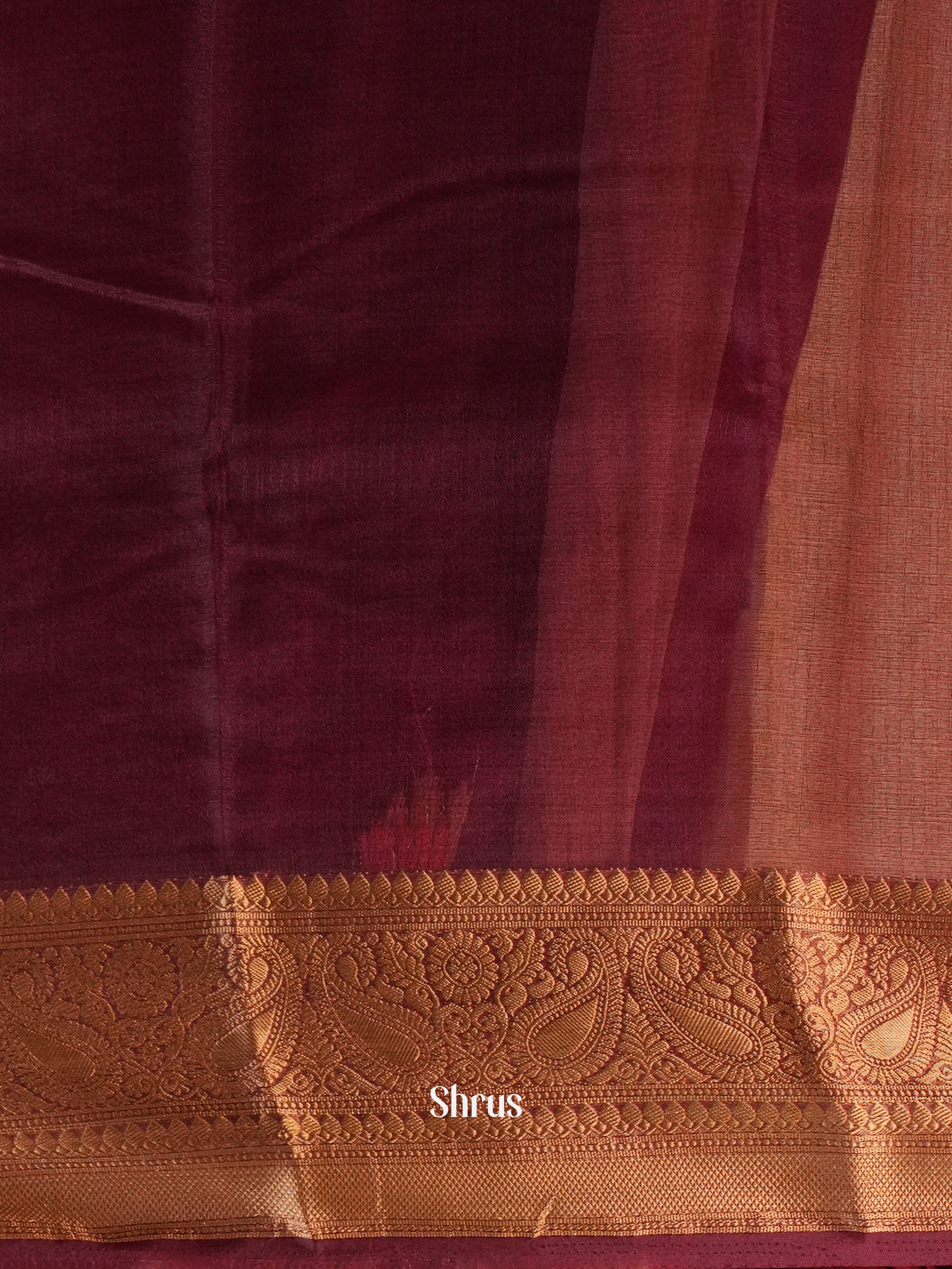 Brown  - Semi Organza Saree