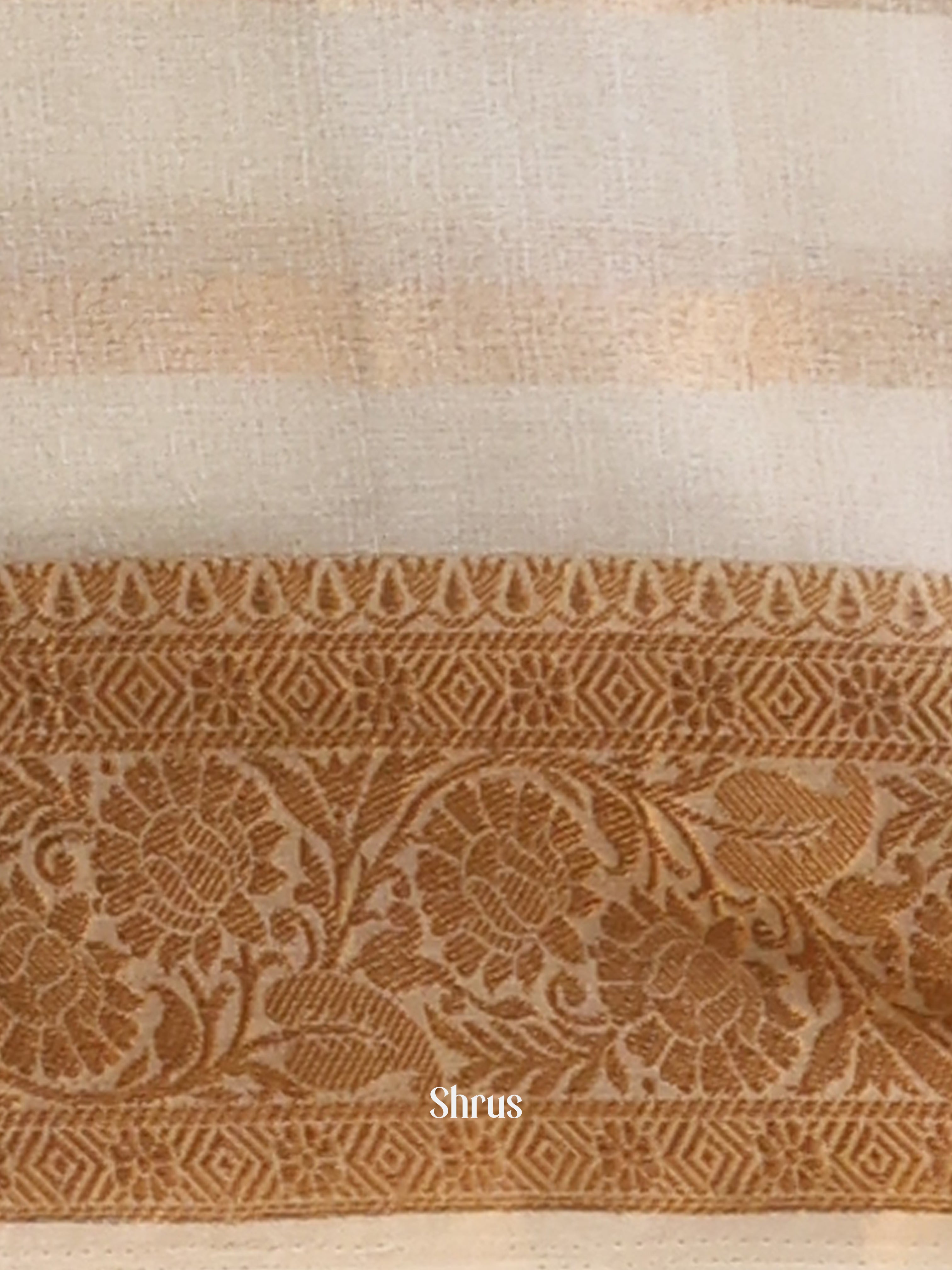 Cream  - Semi Organza Saree