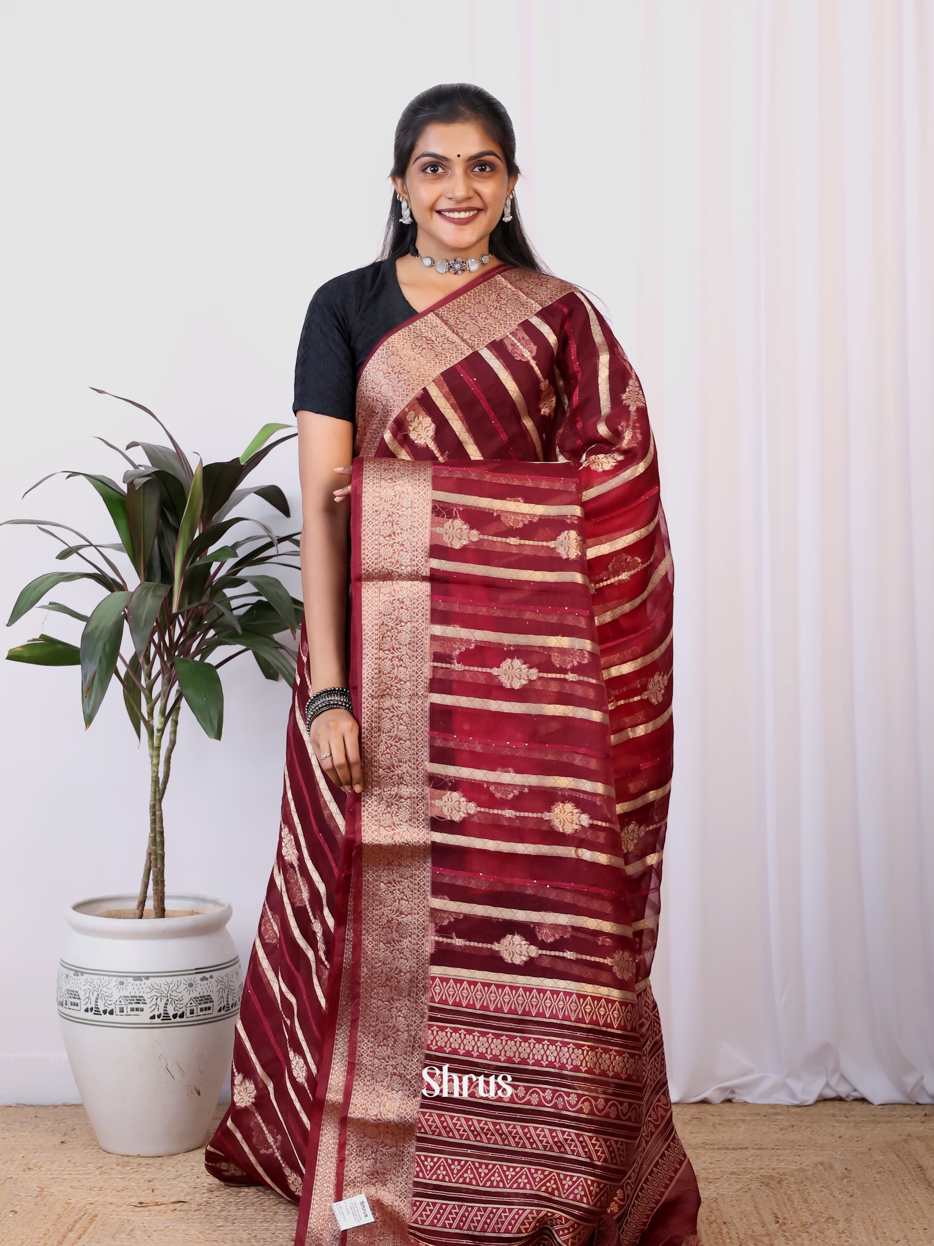 Brown & Red - Semi Organza Saree