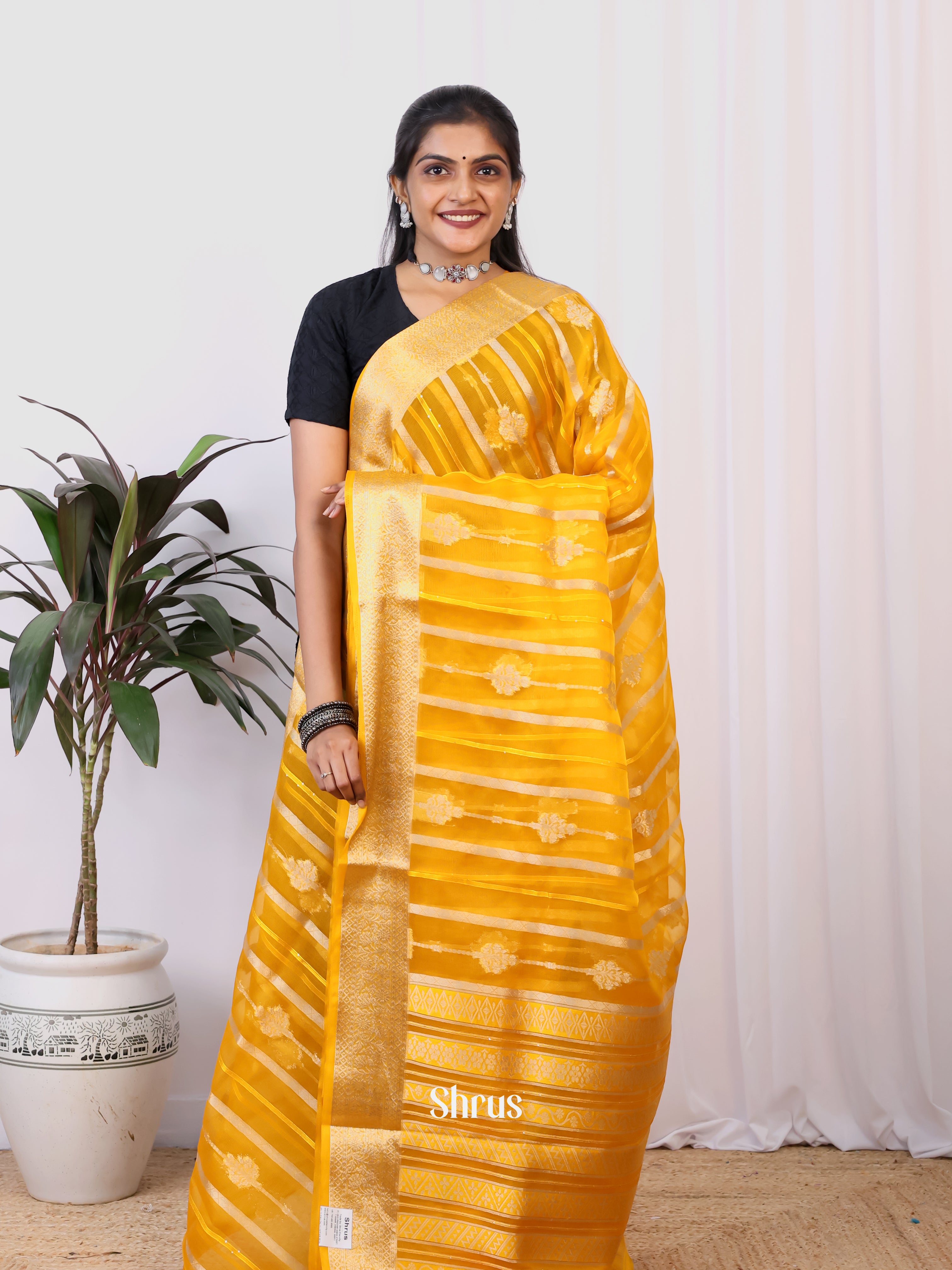 Mustard- Semi Organza Saree