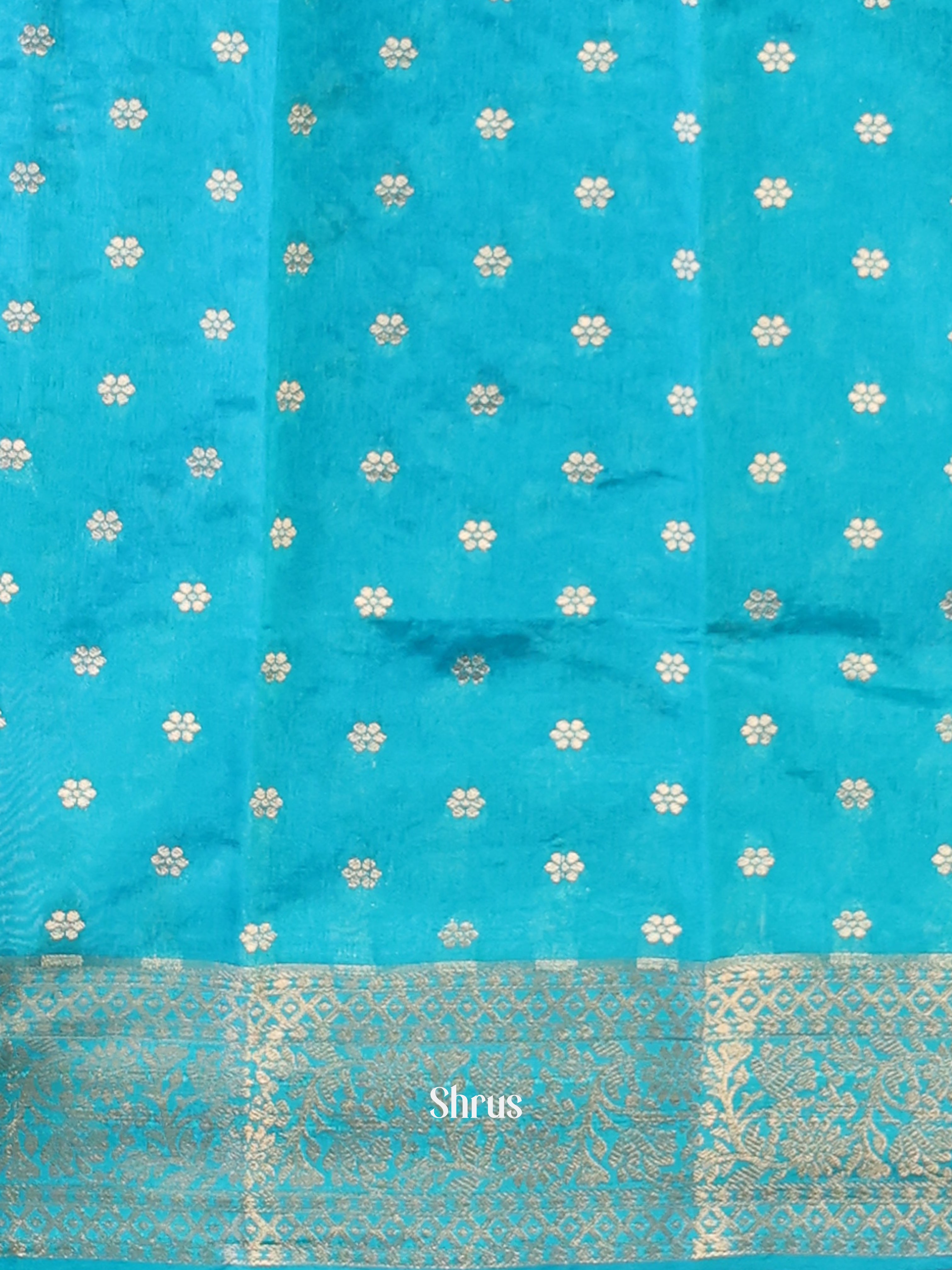 Blue & Teal - Semi Organza Saree