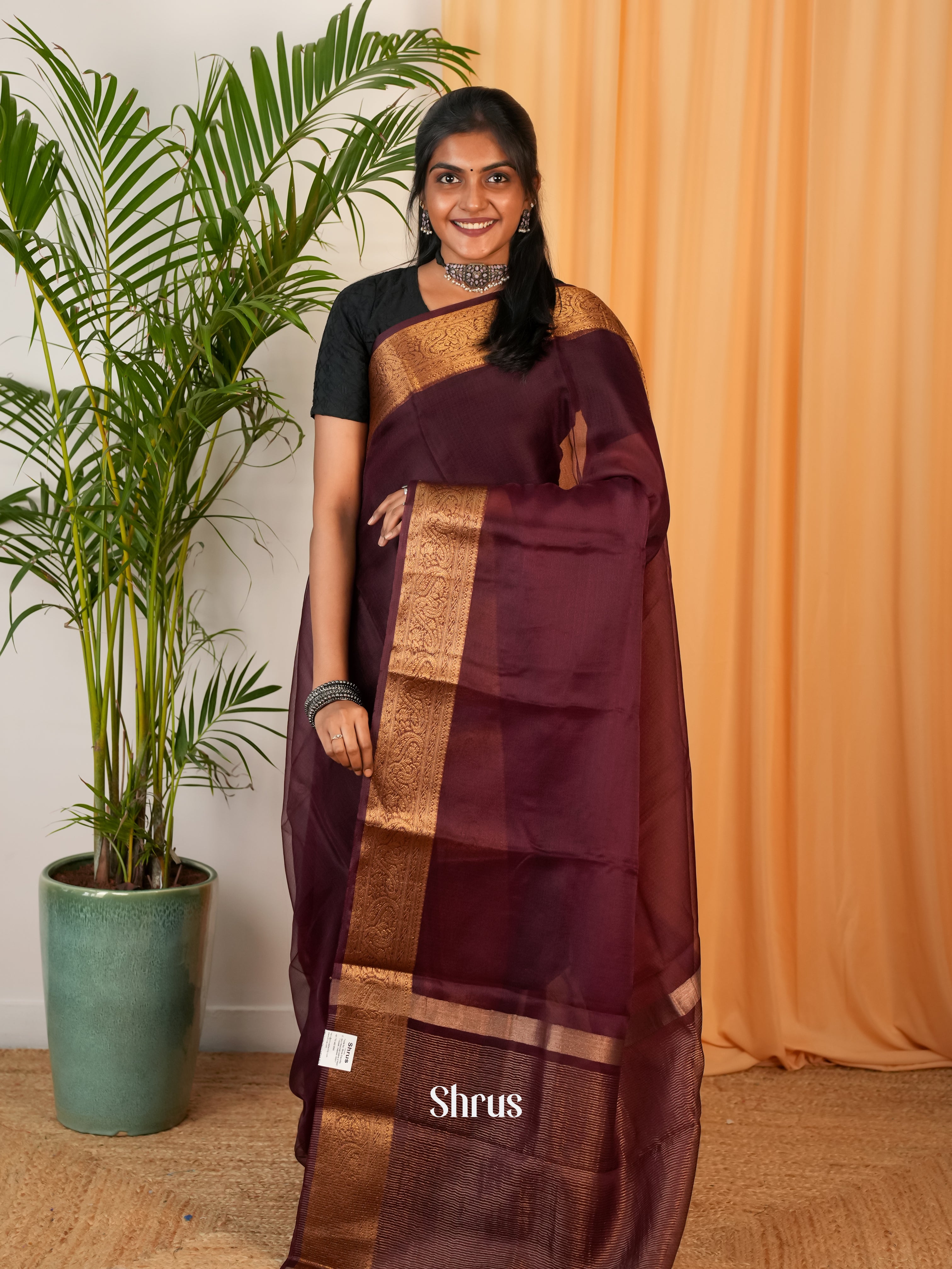 Brown - Semi Georgette Saree