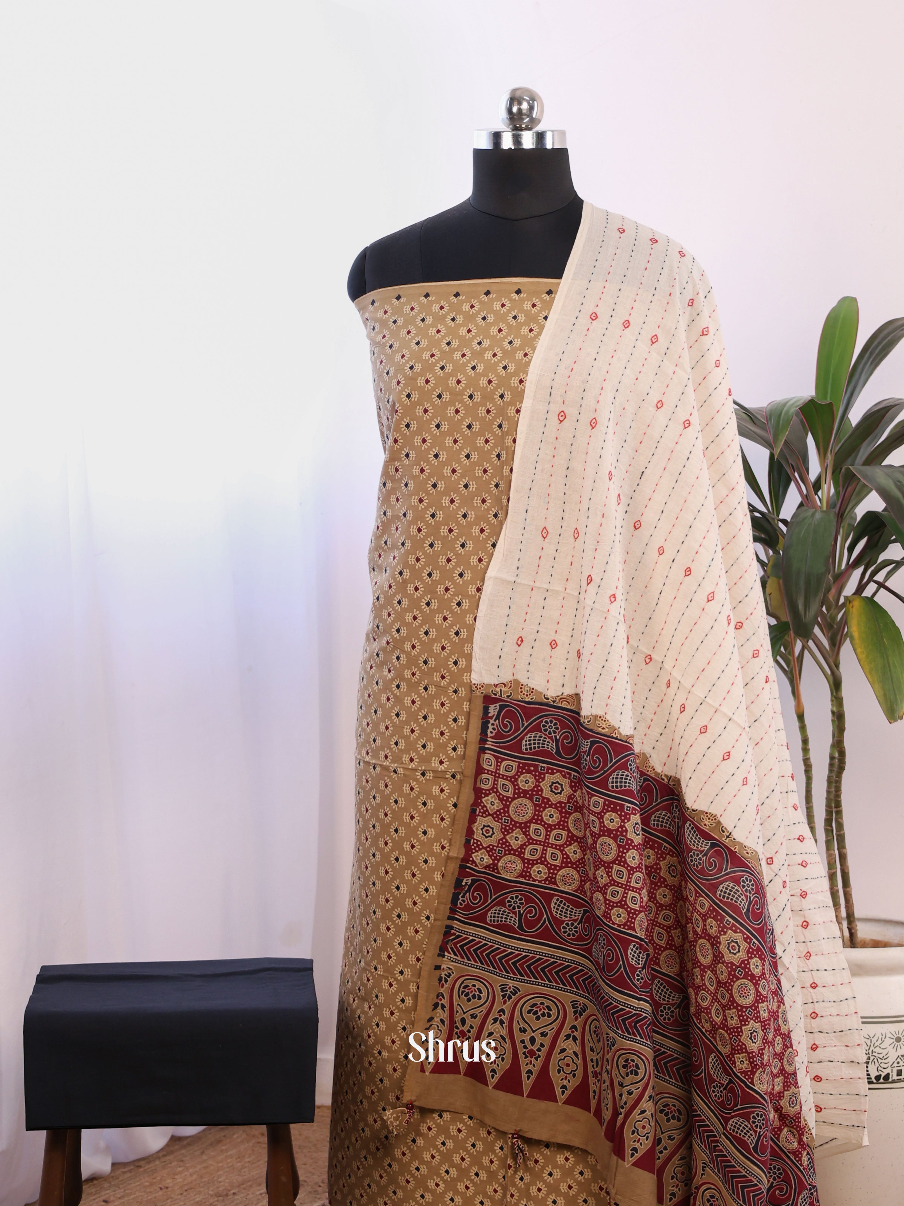 Beige & Black- Ajrakh Salwar