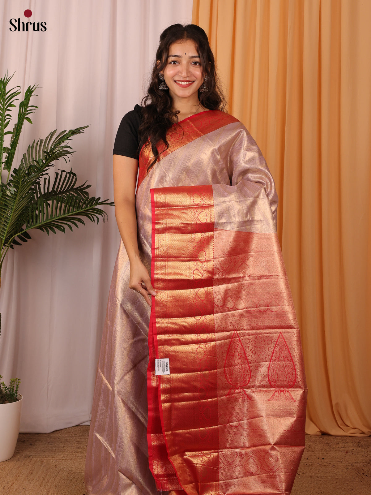 Beige & Red - Kanchipuram-halfpure Saree