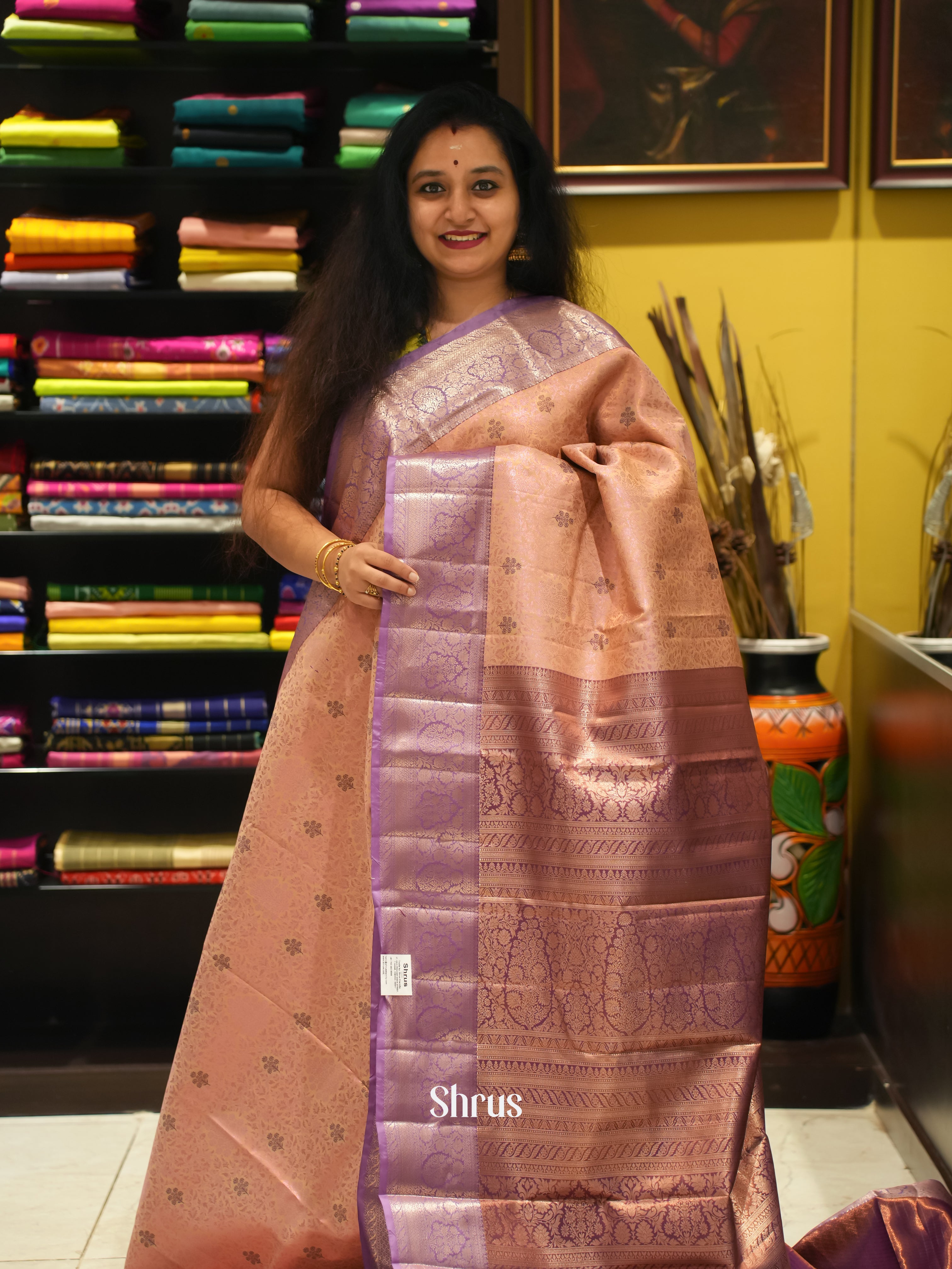 Brown & Purple - Kanchipuram-halfpure Saree