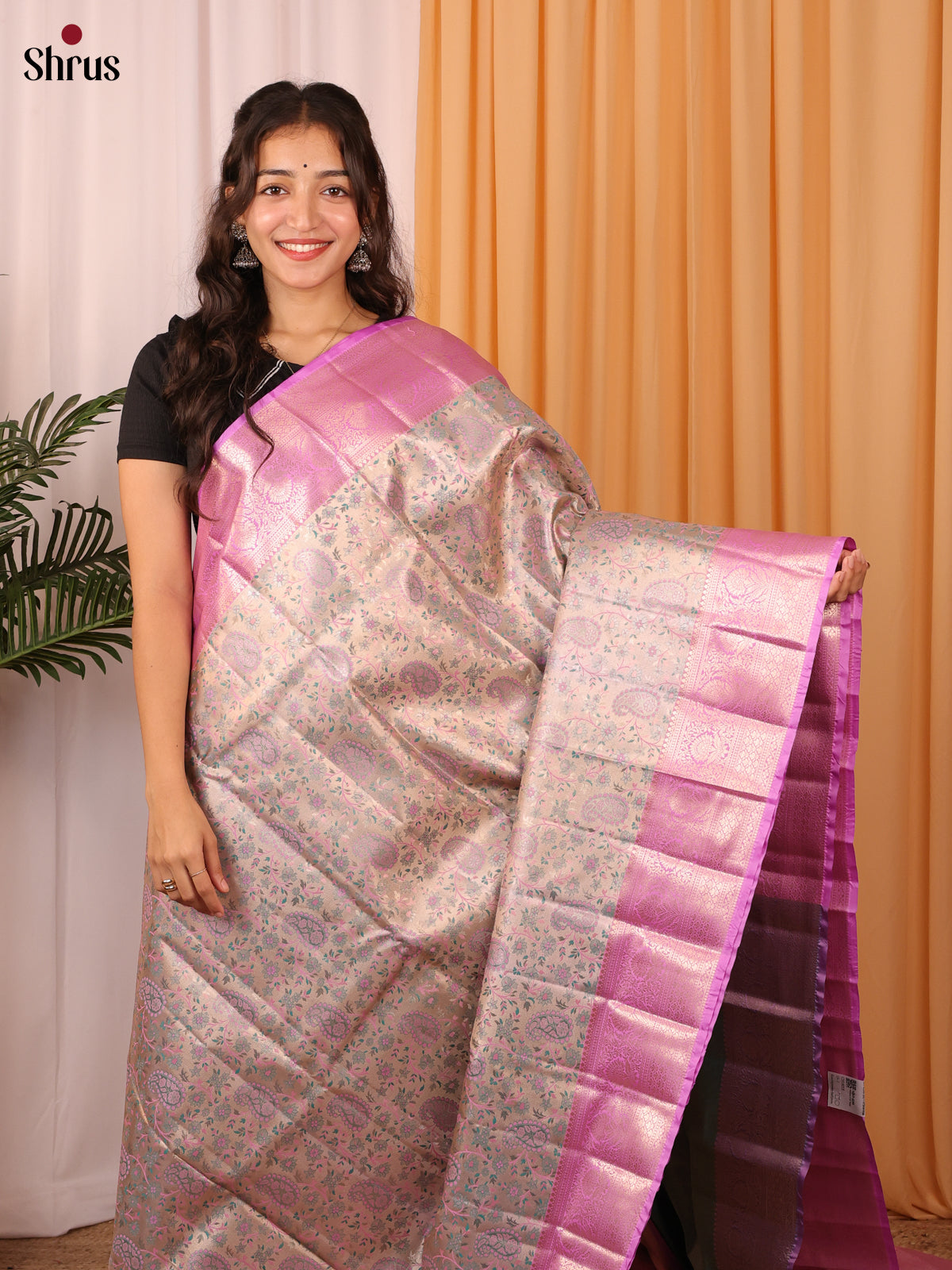 Beige & Purple - Kanchipuram-halfpure Saree