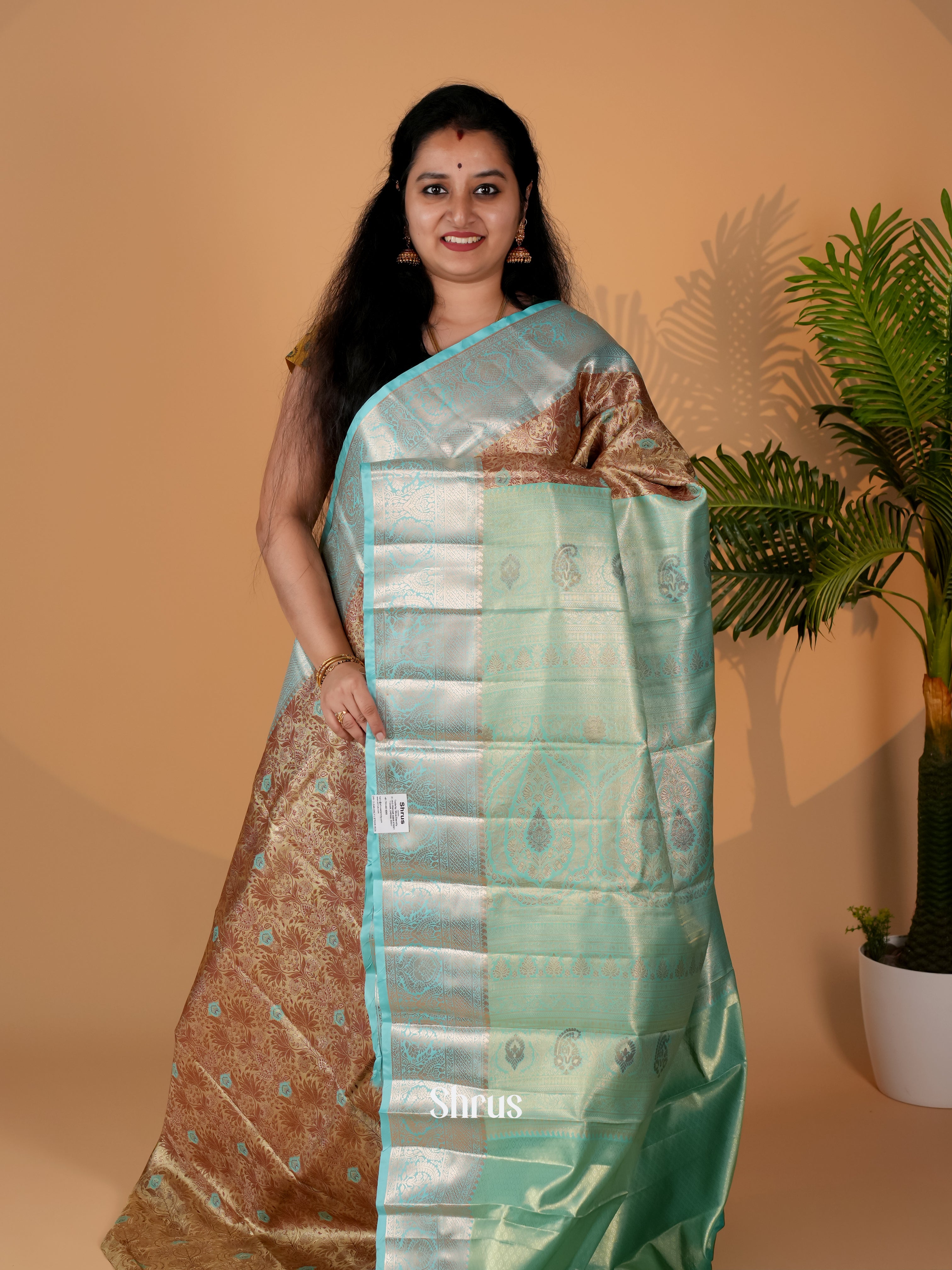 Brown & Green - Kanchipuram-halfpure Saree