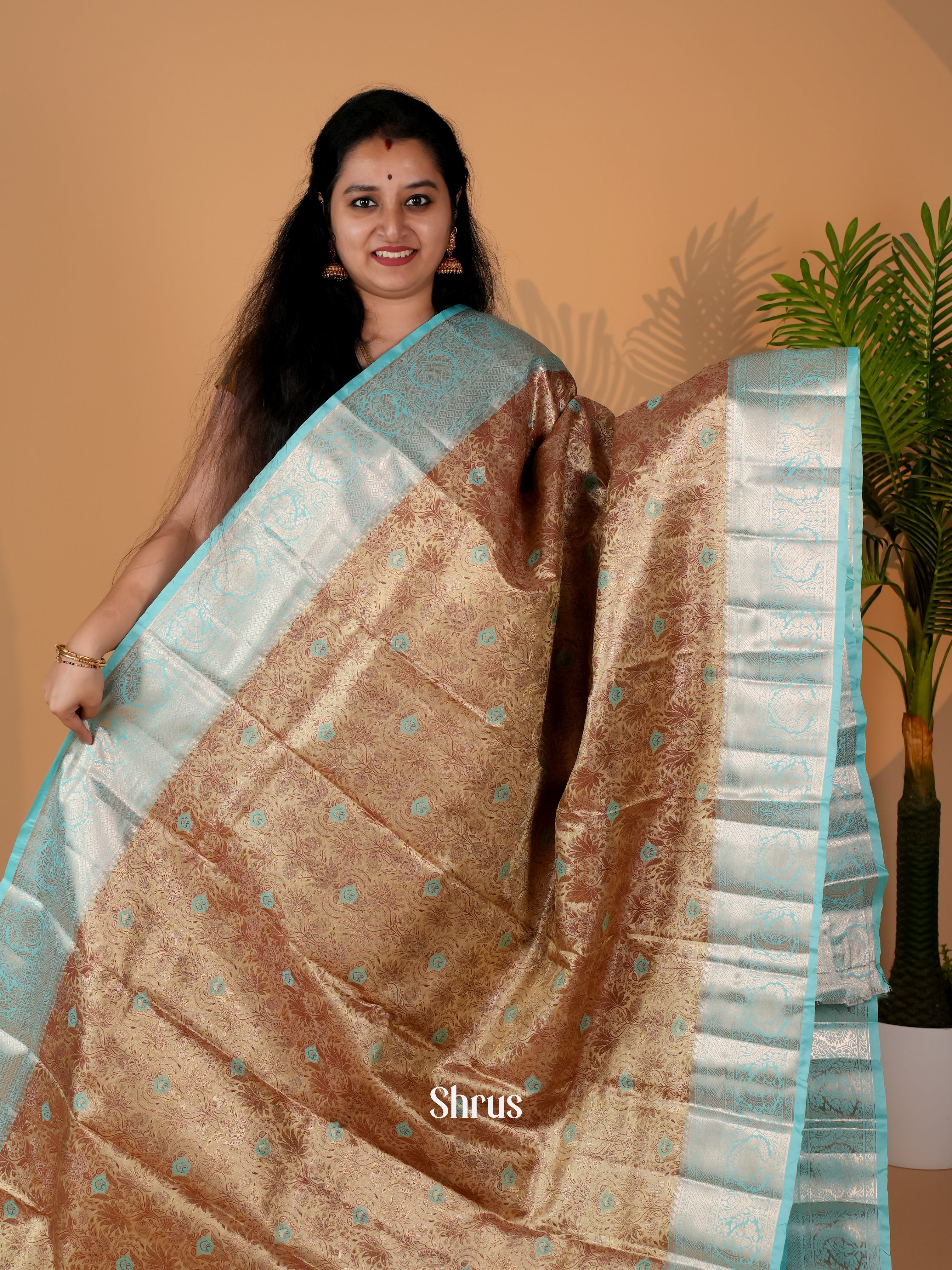 Brown & Green - Kanchipuram-halfpure Saree