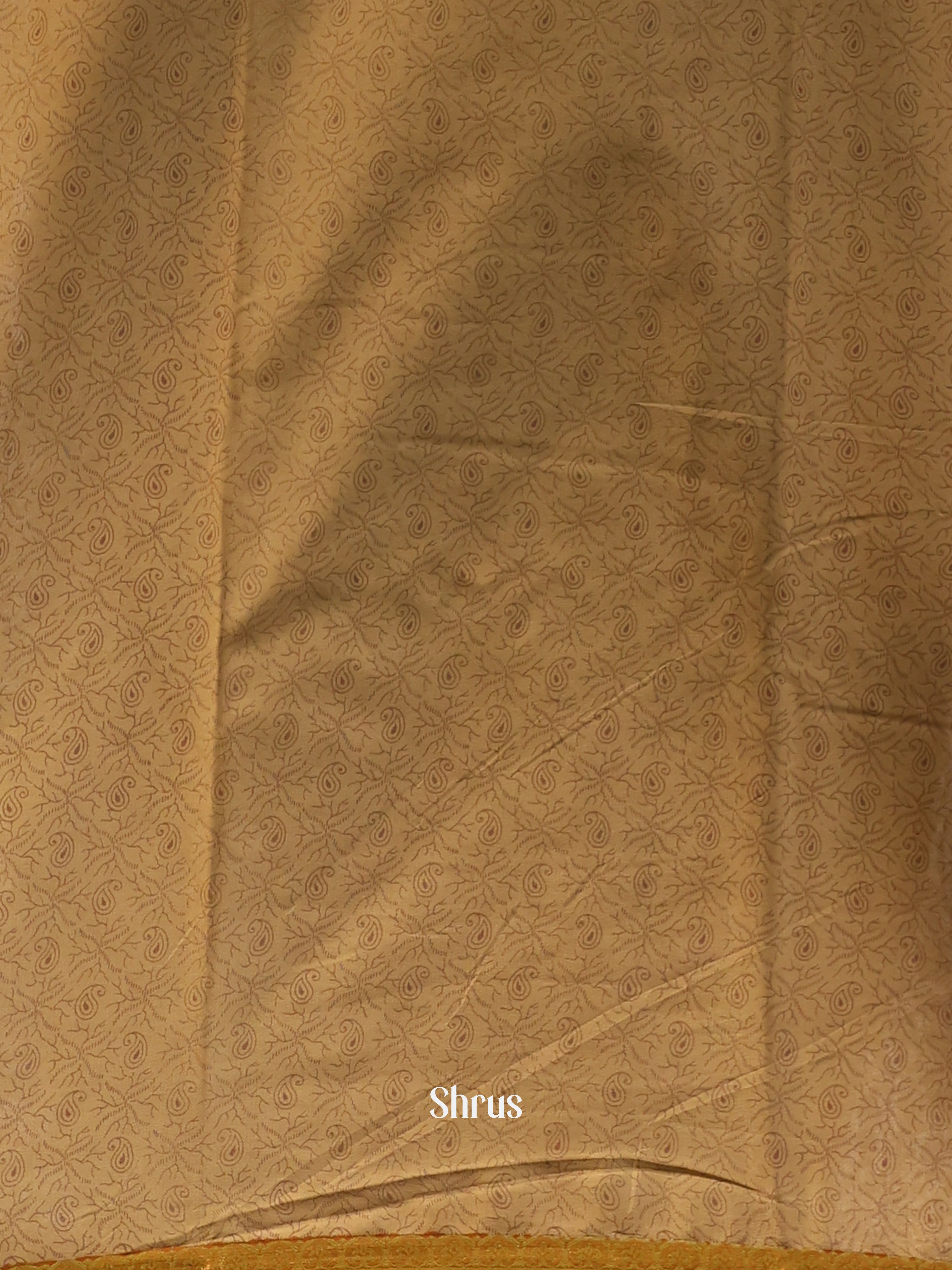 Beige - Semi Mysoresilk Saree