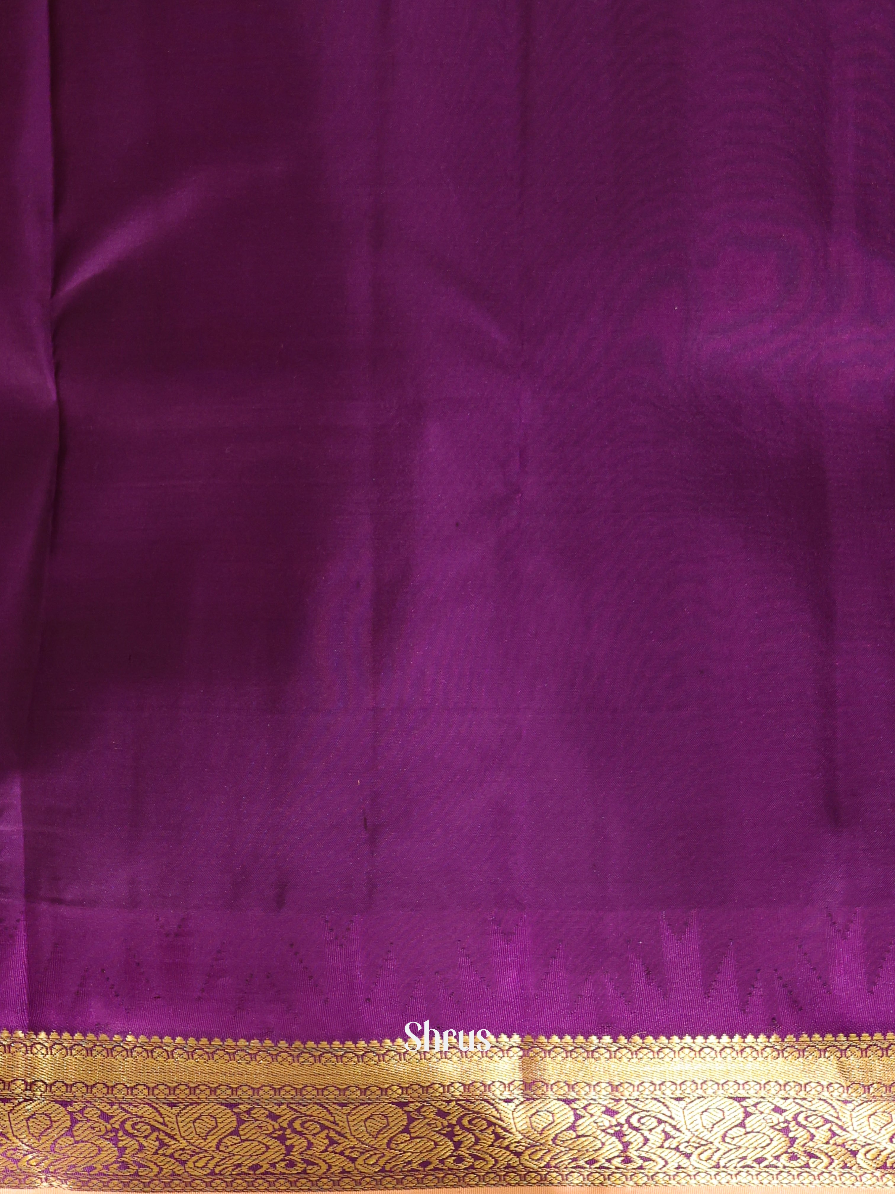 CIS20008 - Kanchipuram silk Saree