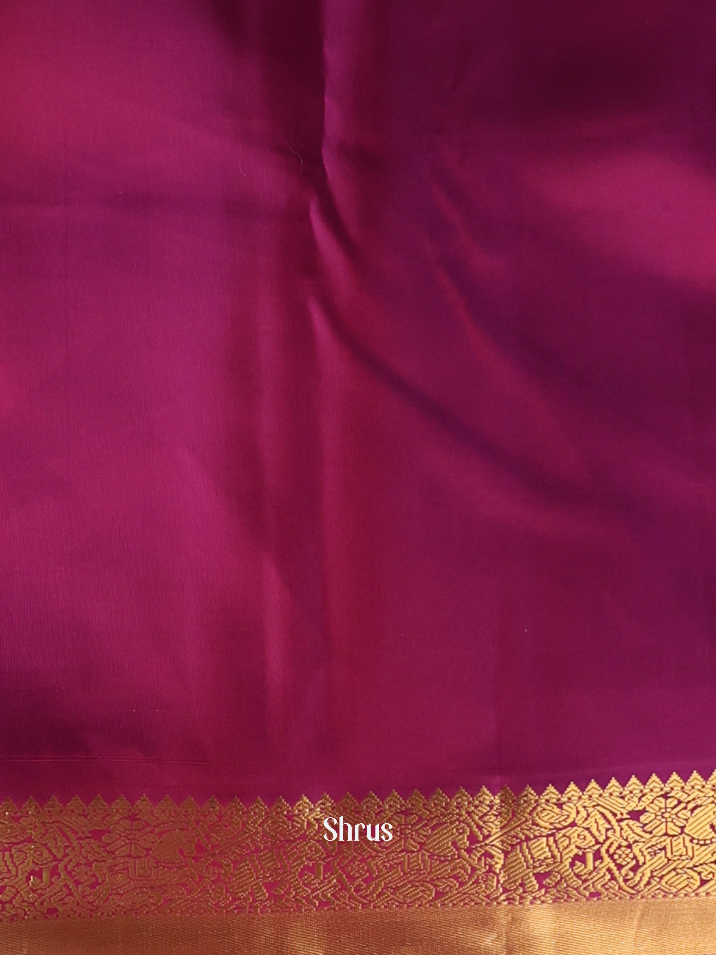 CIS20016 -  Kanchipuram silk Saree