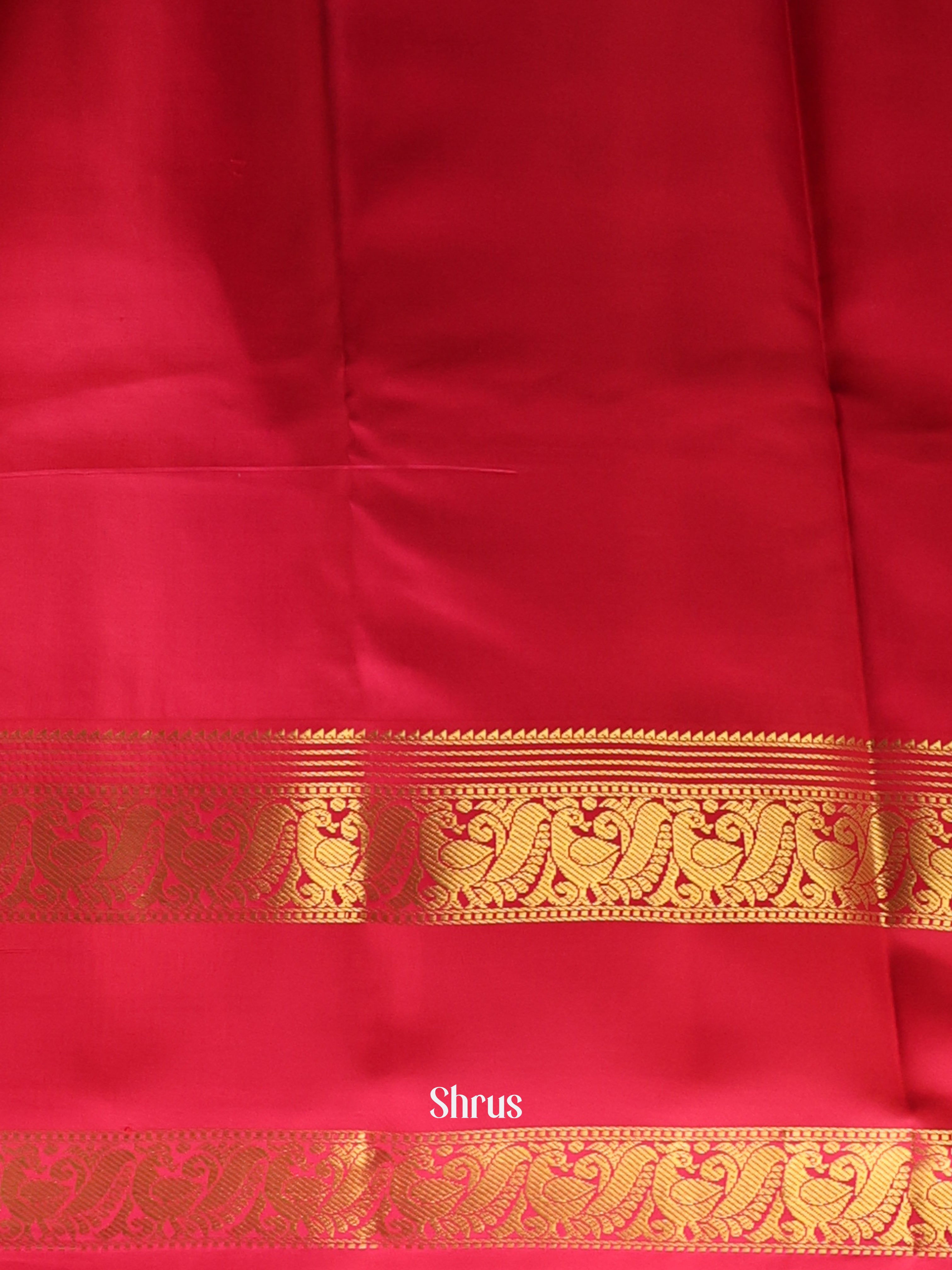 CIS20029 - Kanchipuram silk Saree