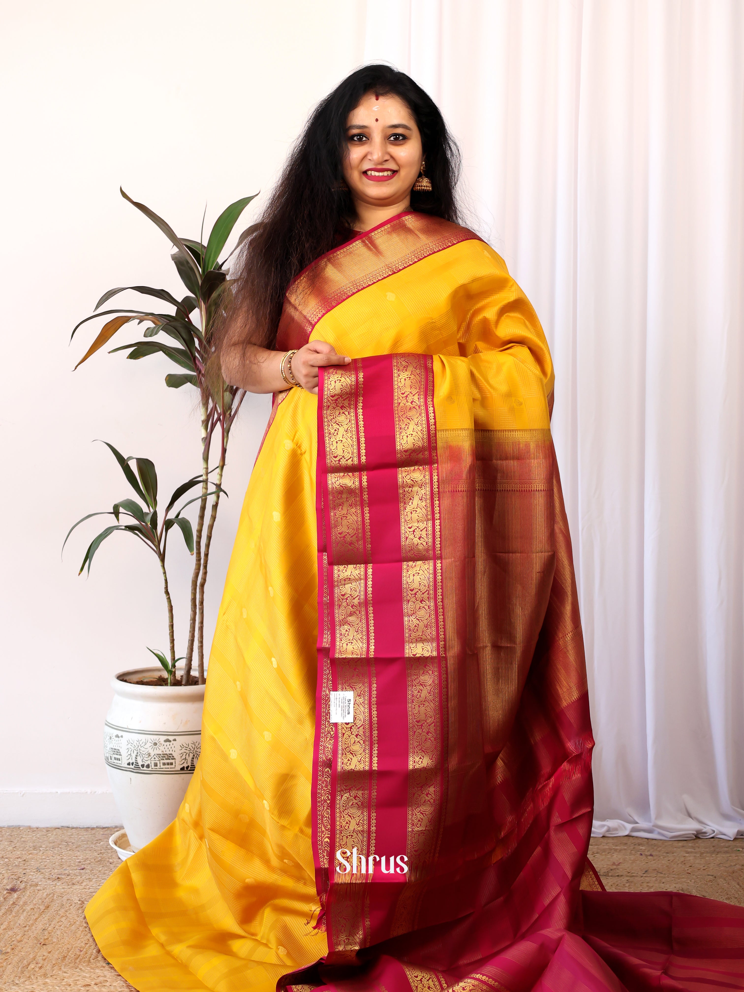 CIS20038 - Kanchipuram silk Saree