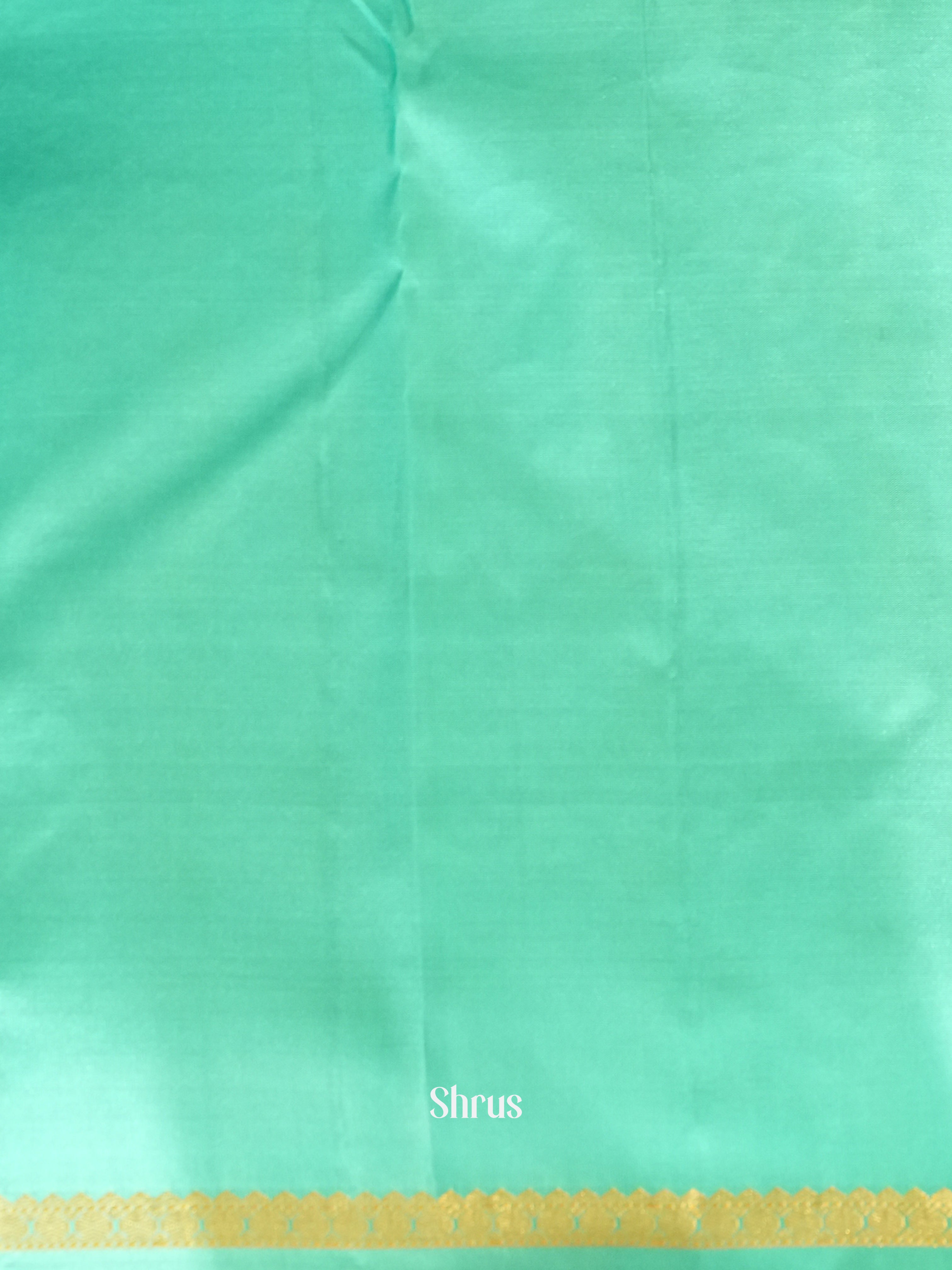 Teal  - Kanchipuram silk Saree