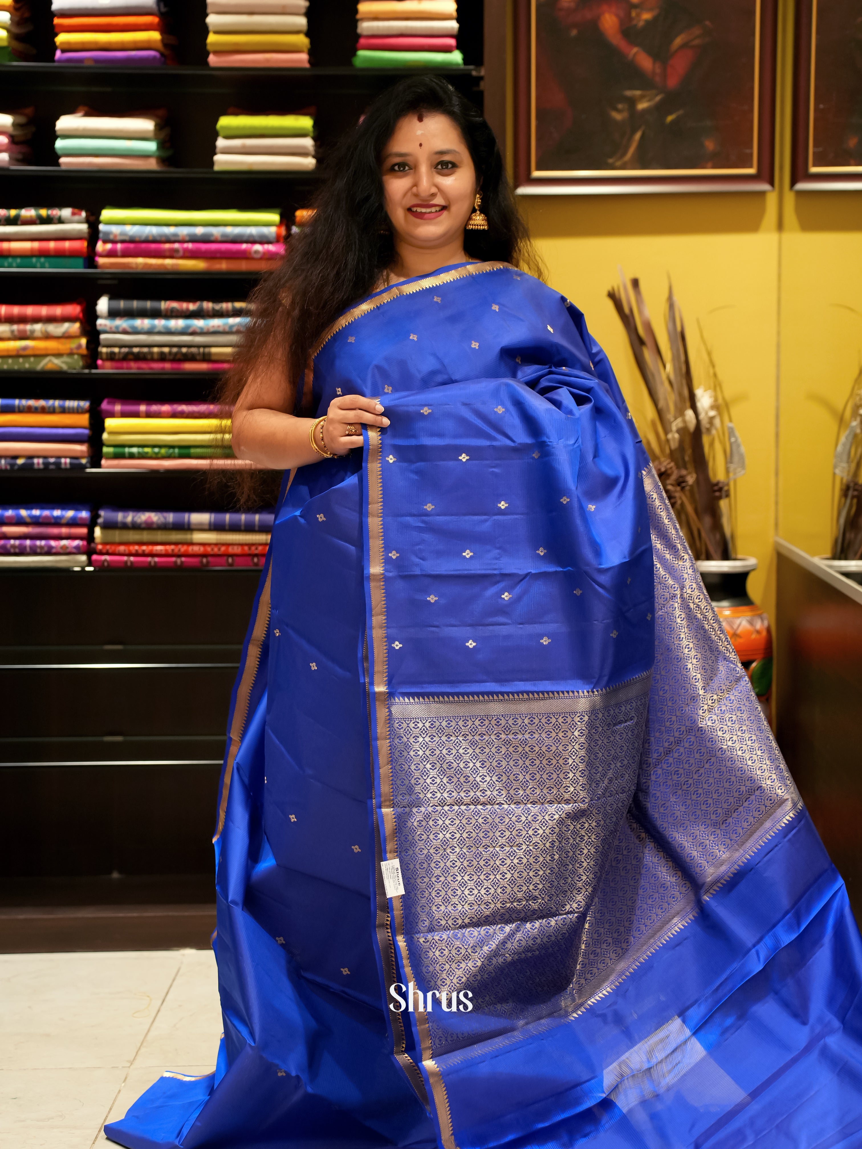 Blue - Kanchipuram silk Saree