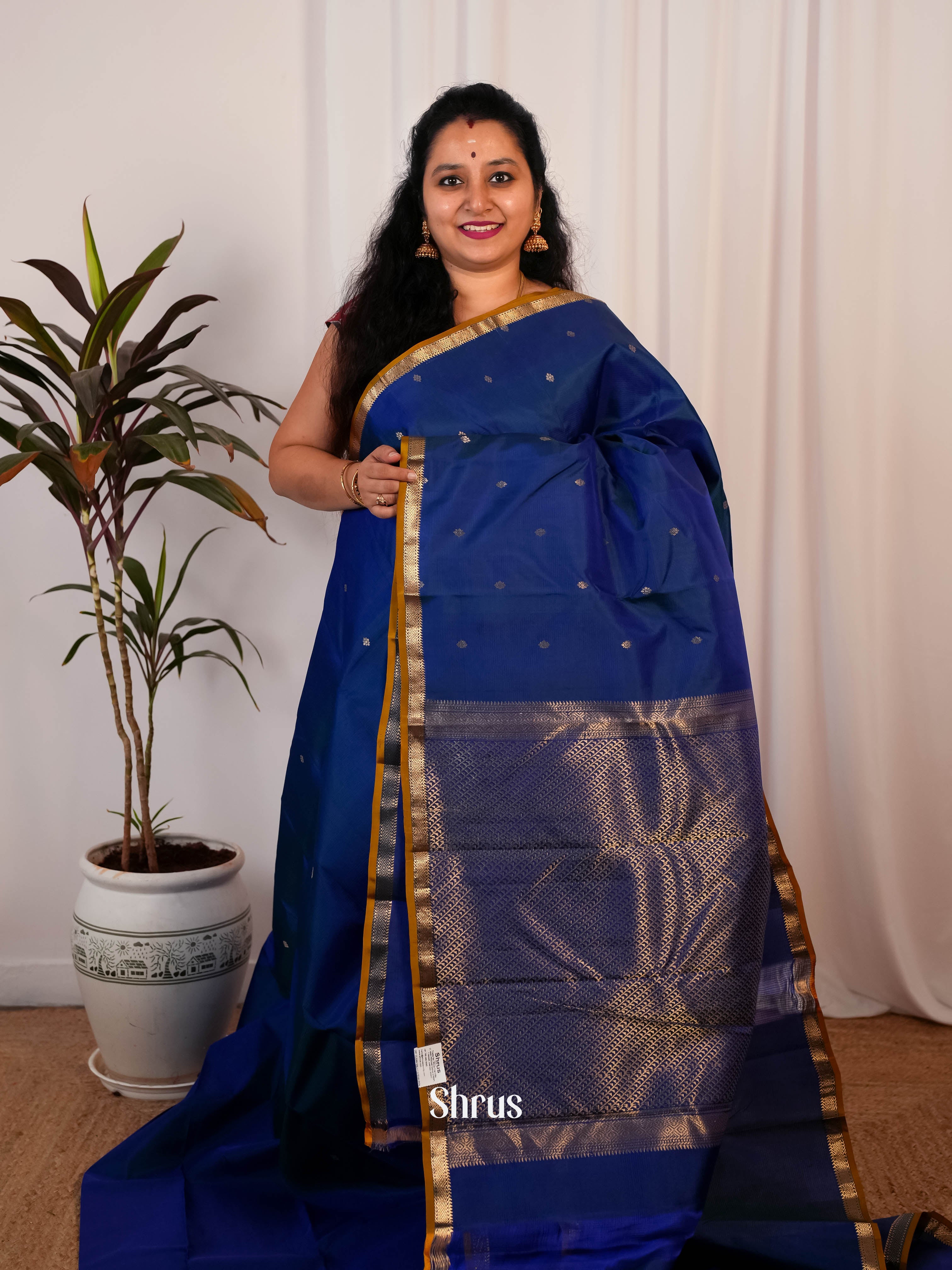 Blue & Brown - Kanchipuram silk Saree