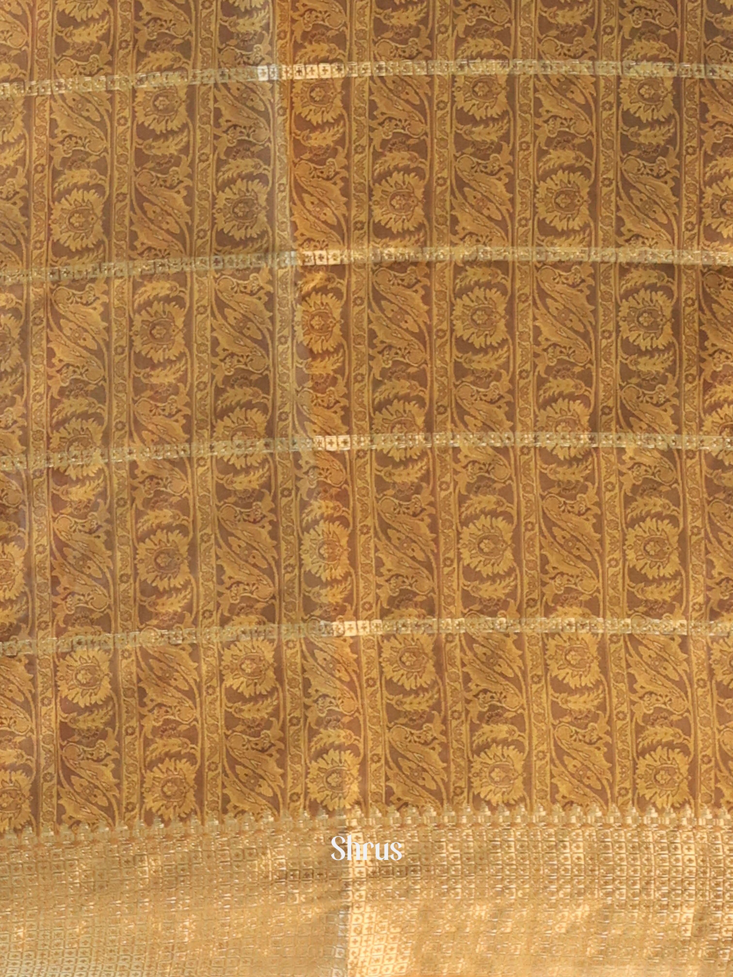 Brown - Semi Dola silk Saree