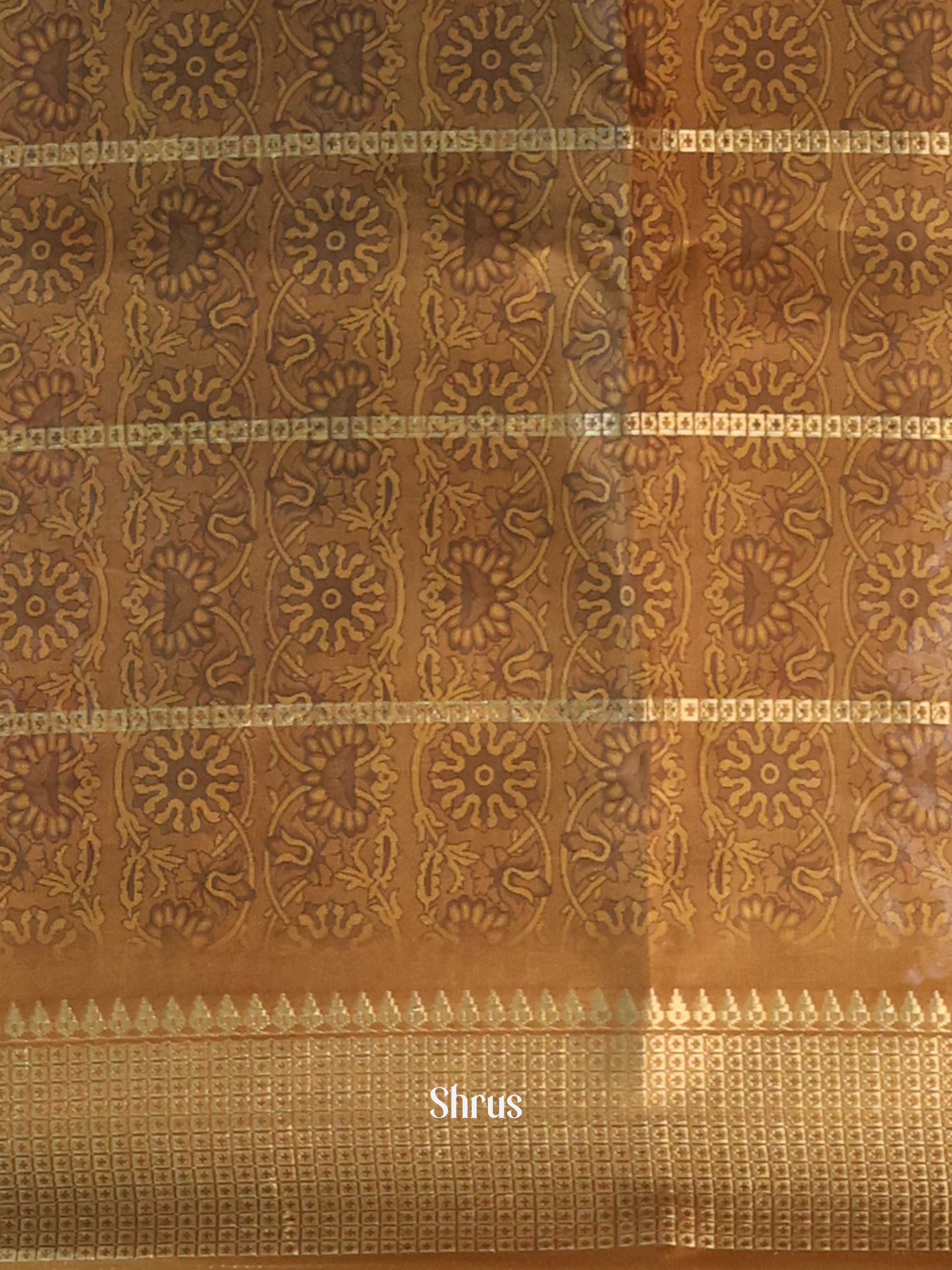 Beige  - Semi Dola silk Saree