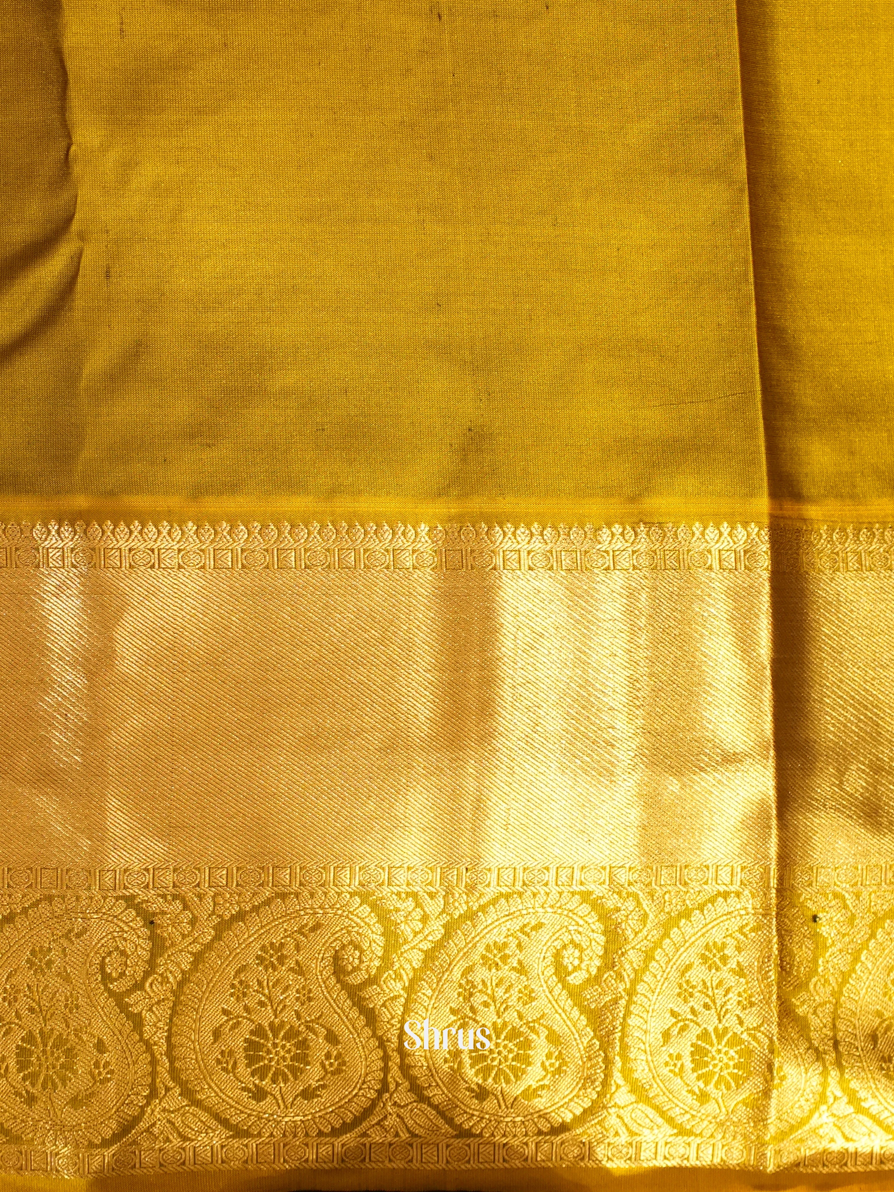 CIS23046 - Kanchipuram silk Saree