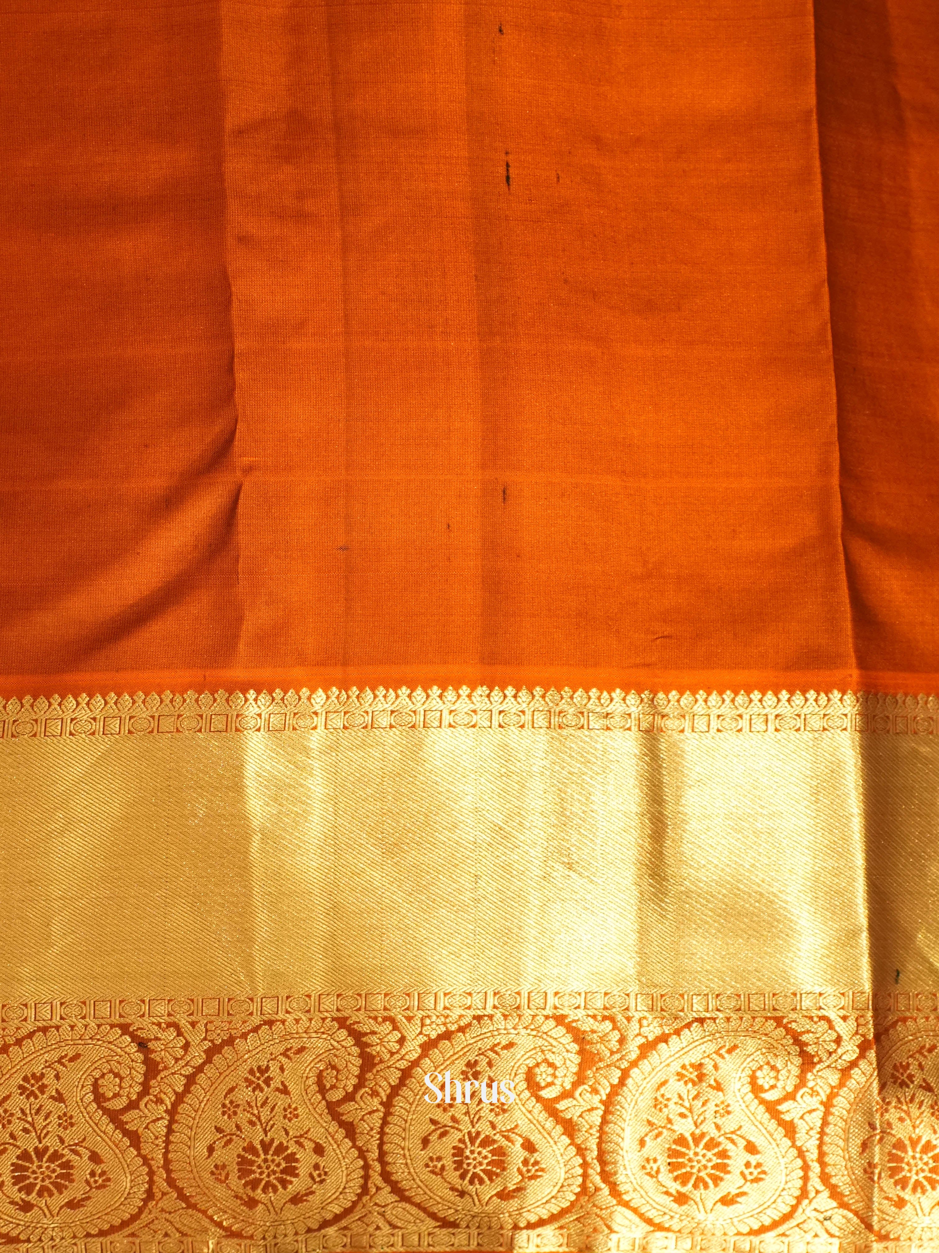 Black & Orange  - Kanchipuram silk Saree