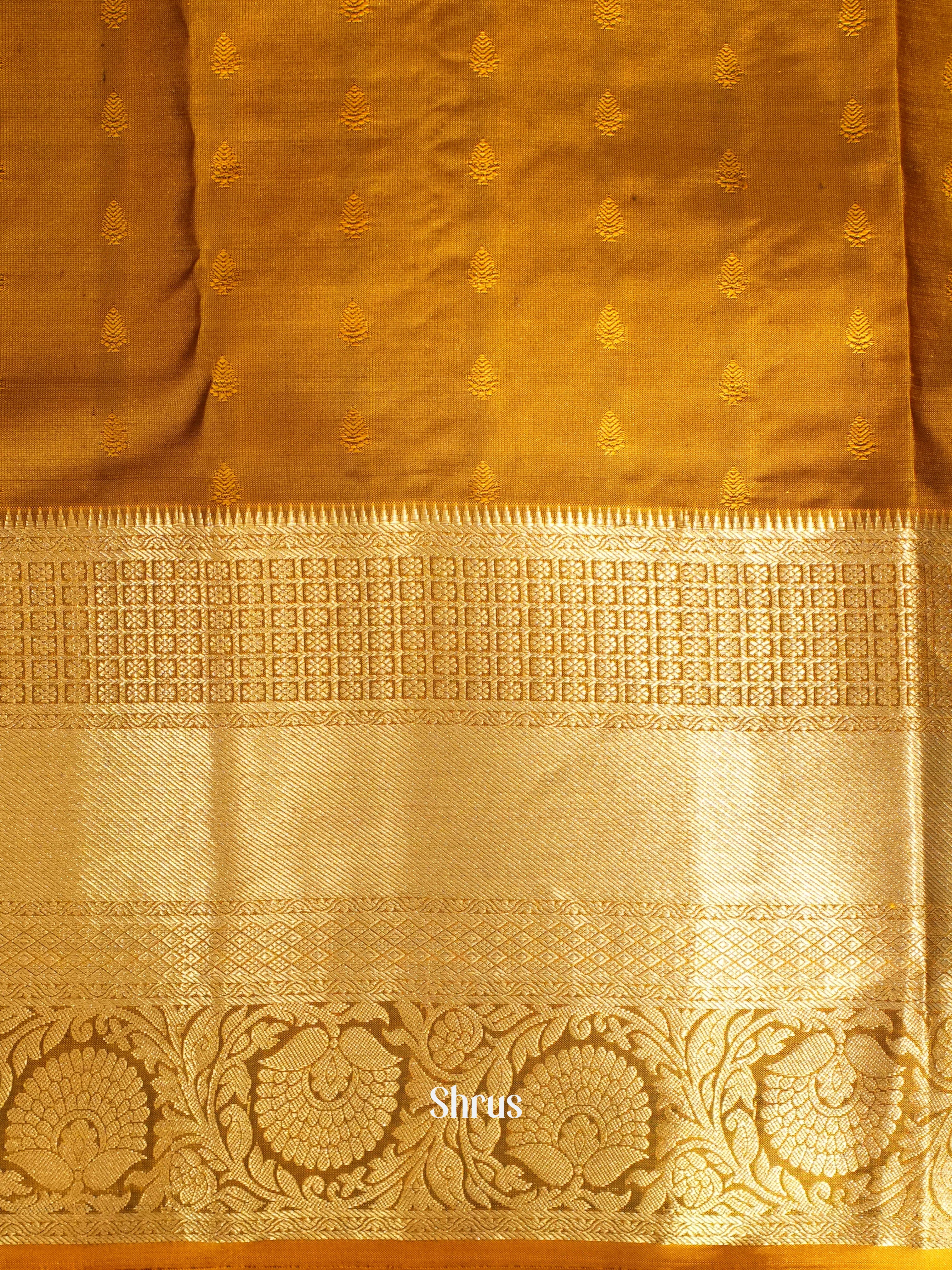 CIS23070 - Kanchipuram silk Saree