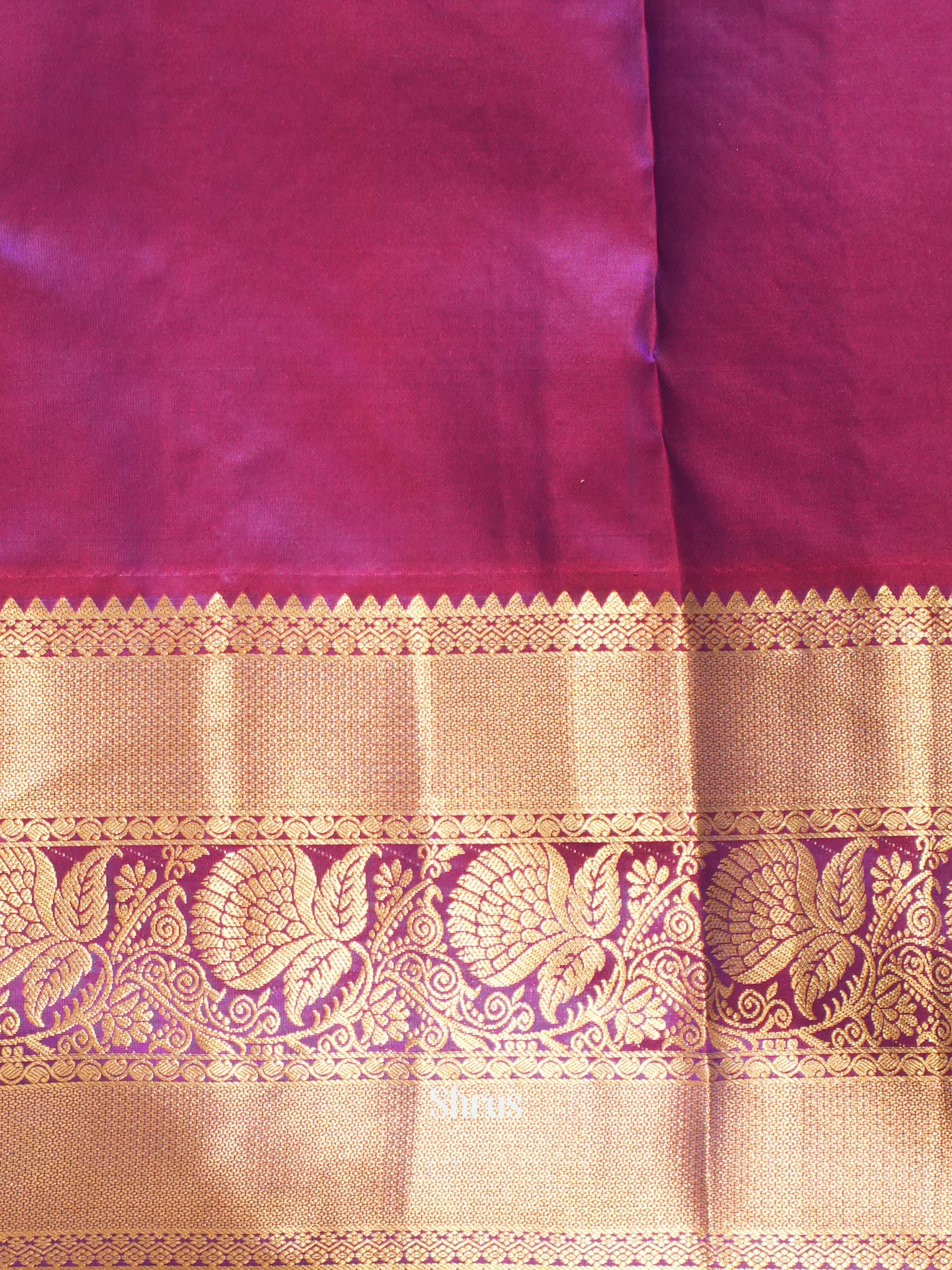 CIS23078 - Kanchipuram silk Saree