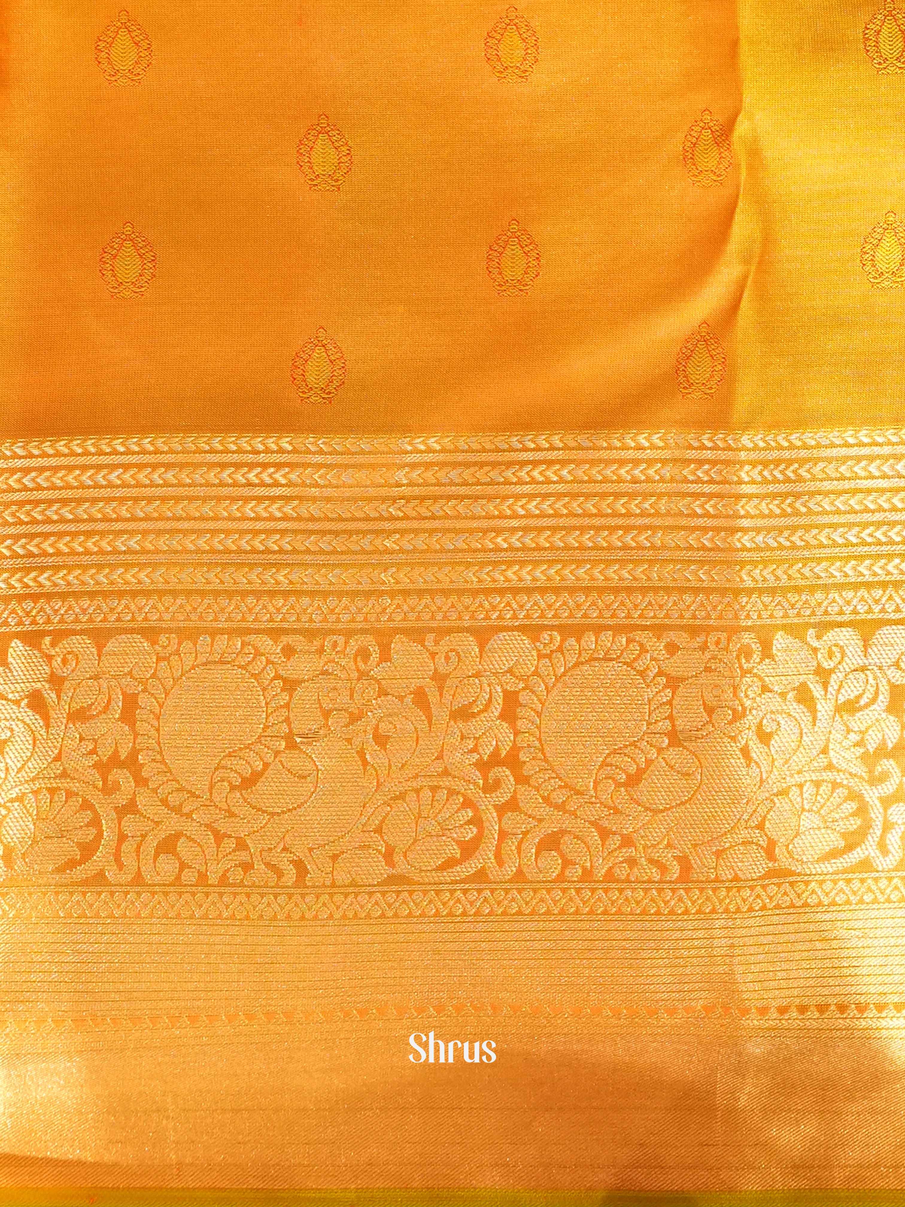 CIS23082 - Kanchipuram silk Saree