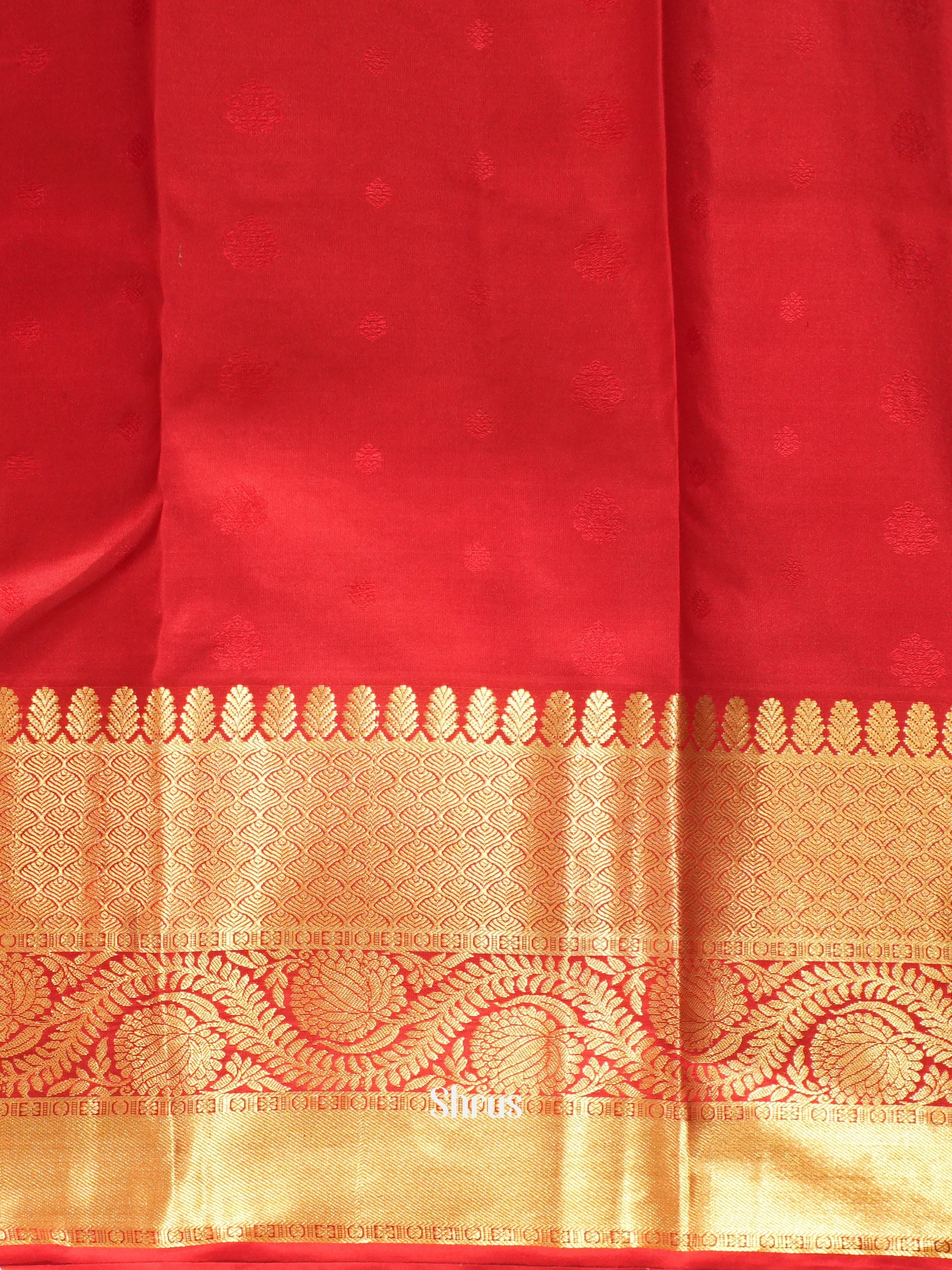 CIS23087 - Kanchipuram silk Saree