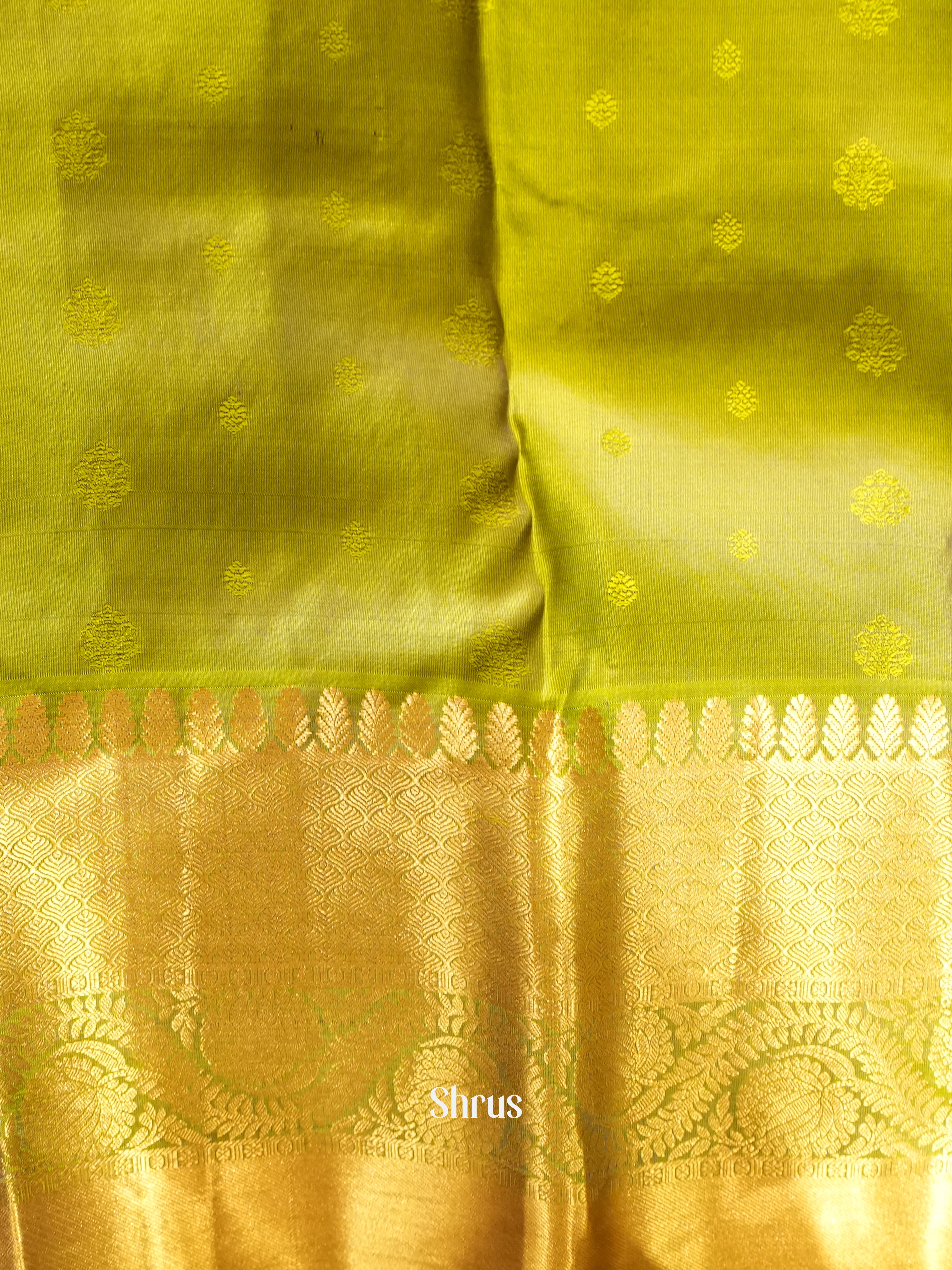 CIS23095 - Kanchipuram silk Saree