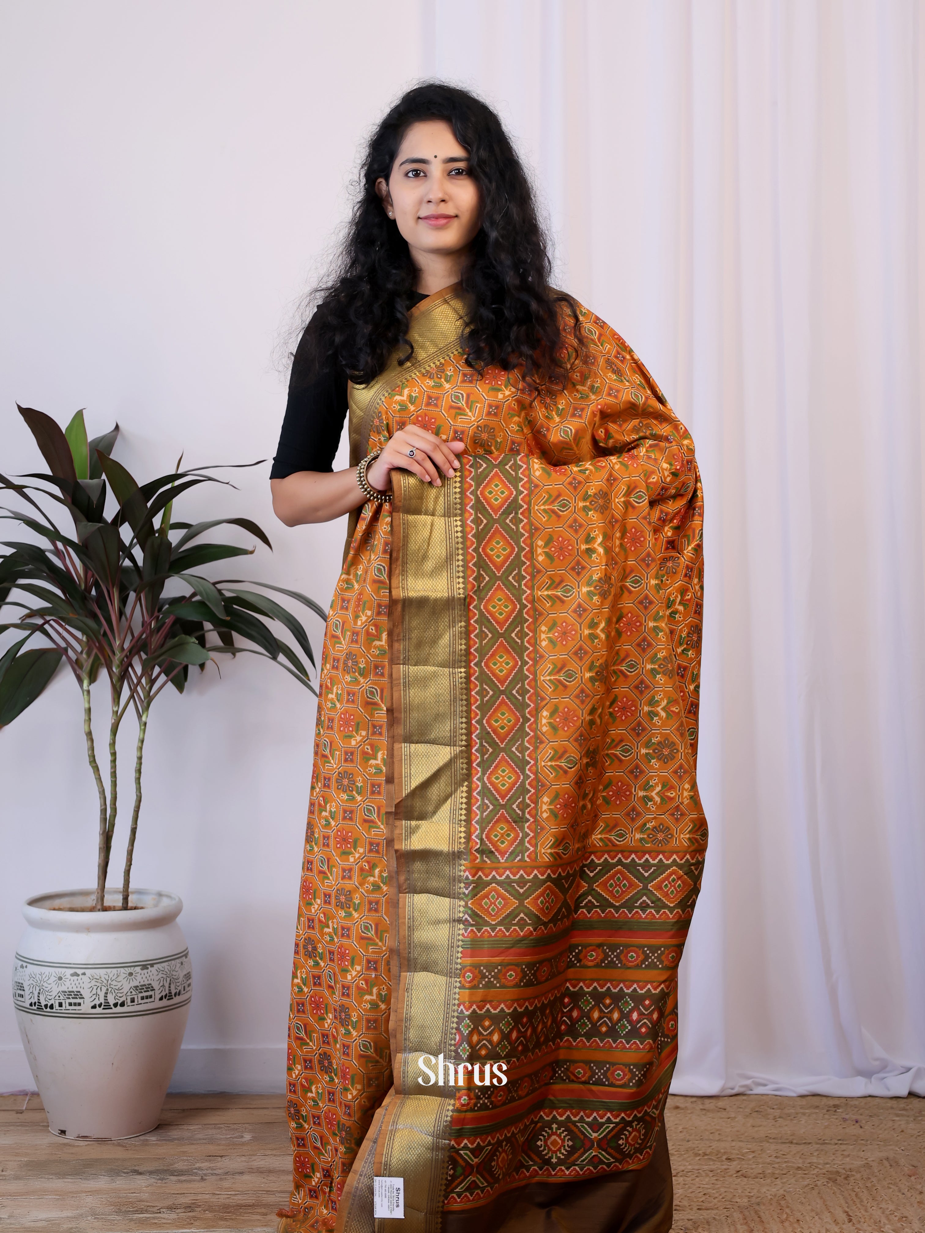 Brown & Green - Semi Patola Saree