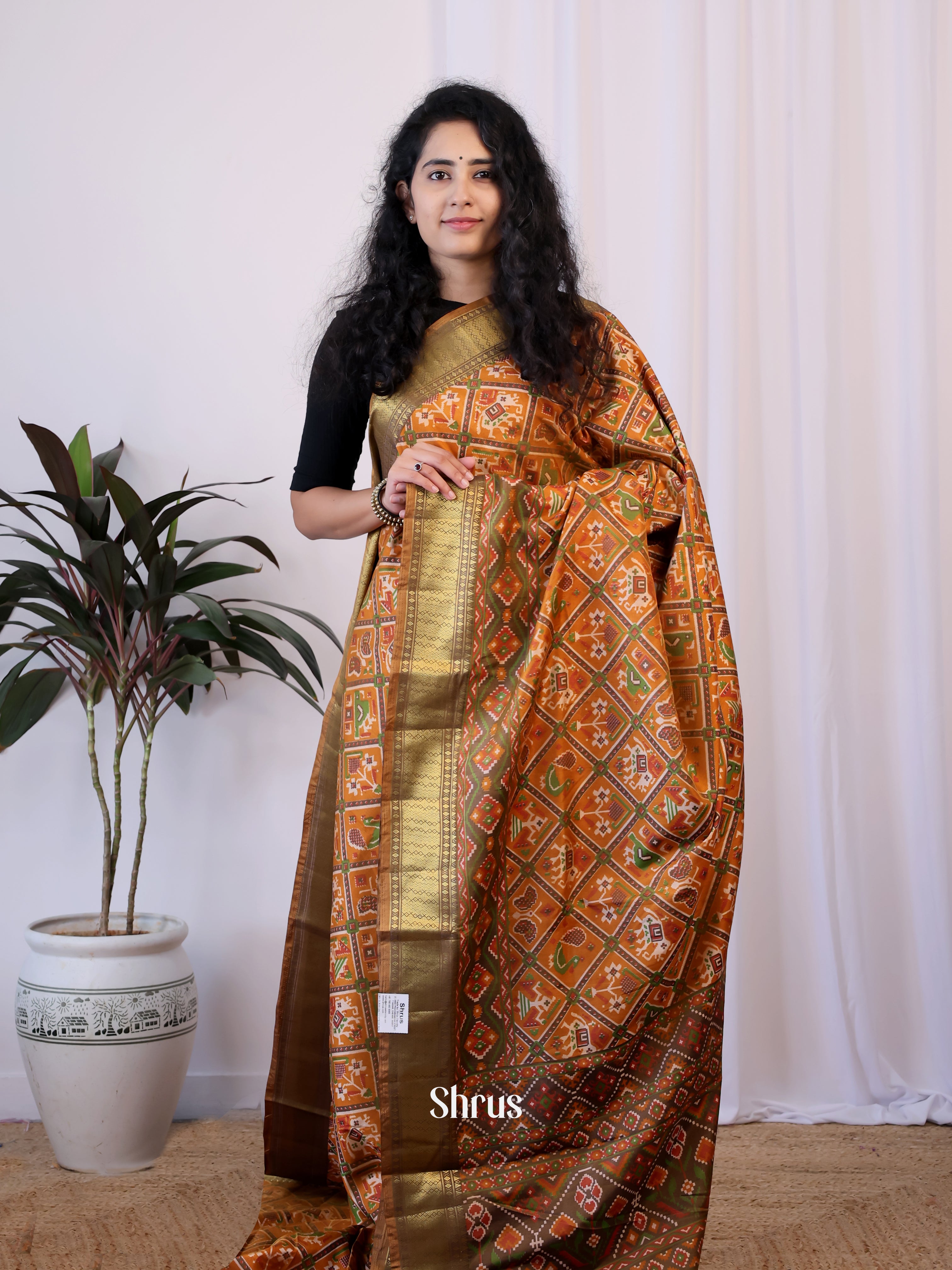 brown & green- Semi Patola Saree