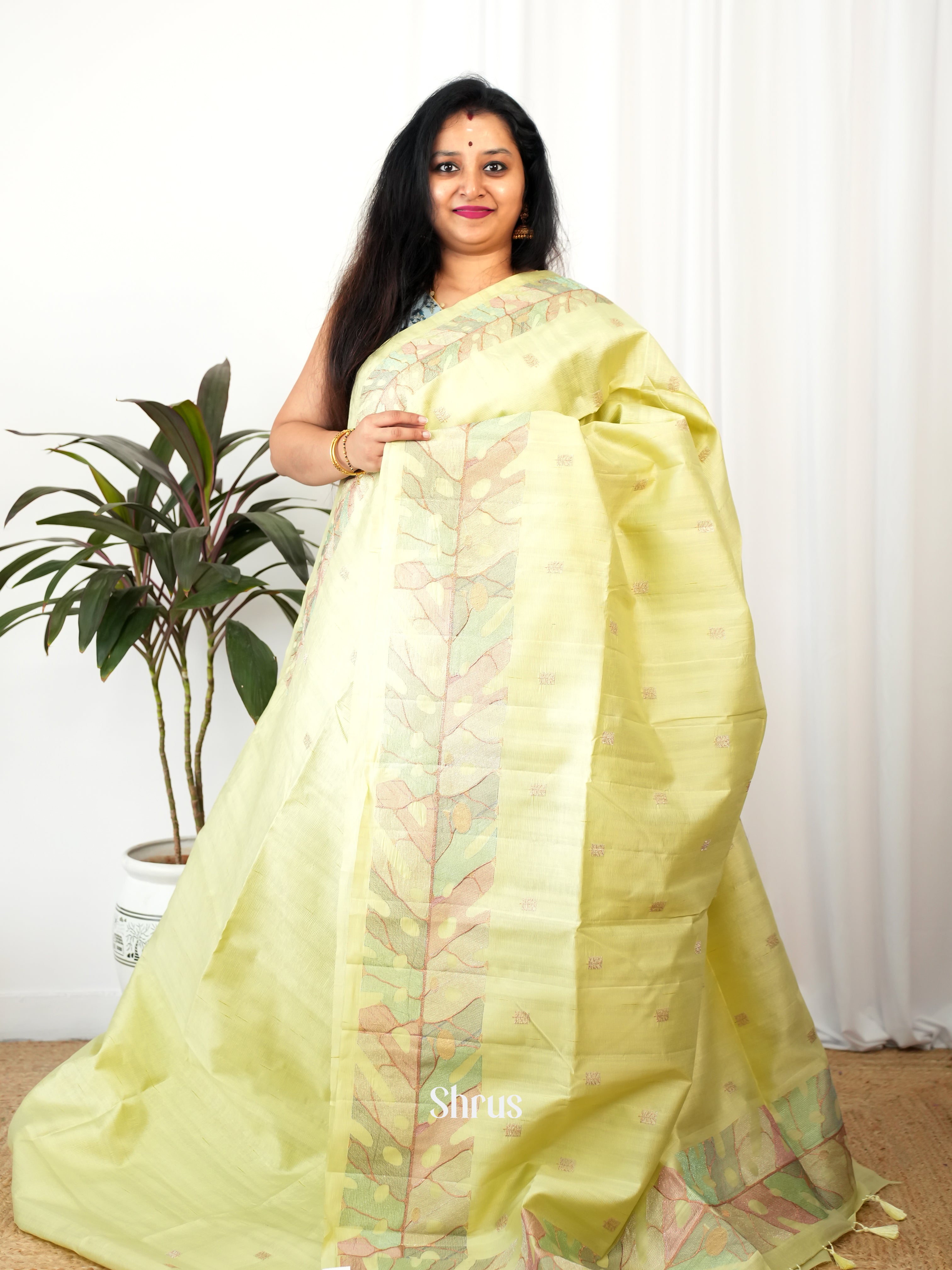 Lite Green - Semi Rawsilk Saree