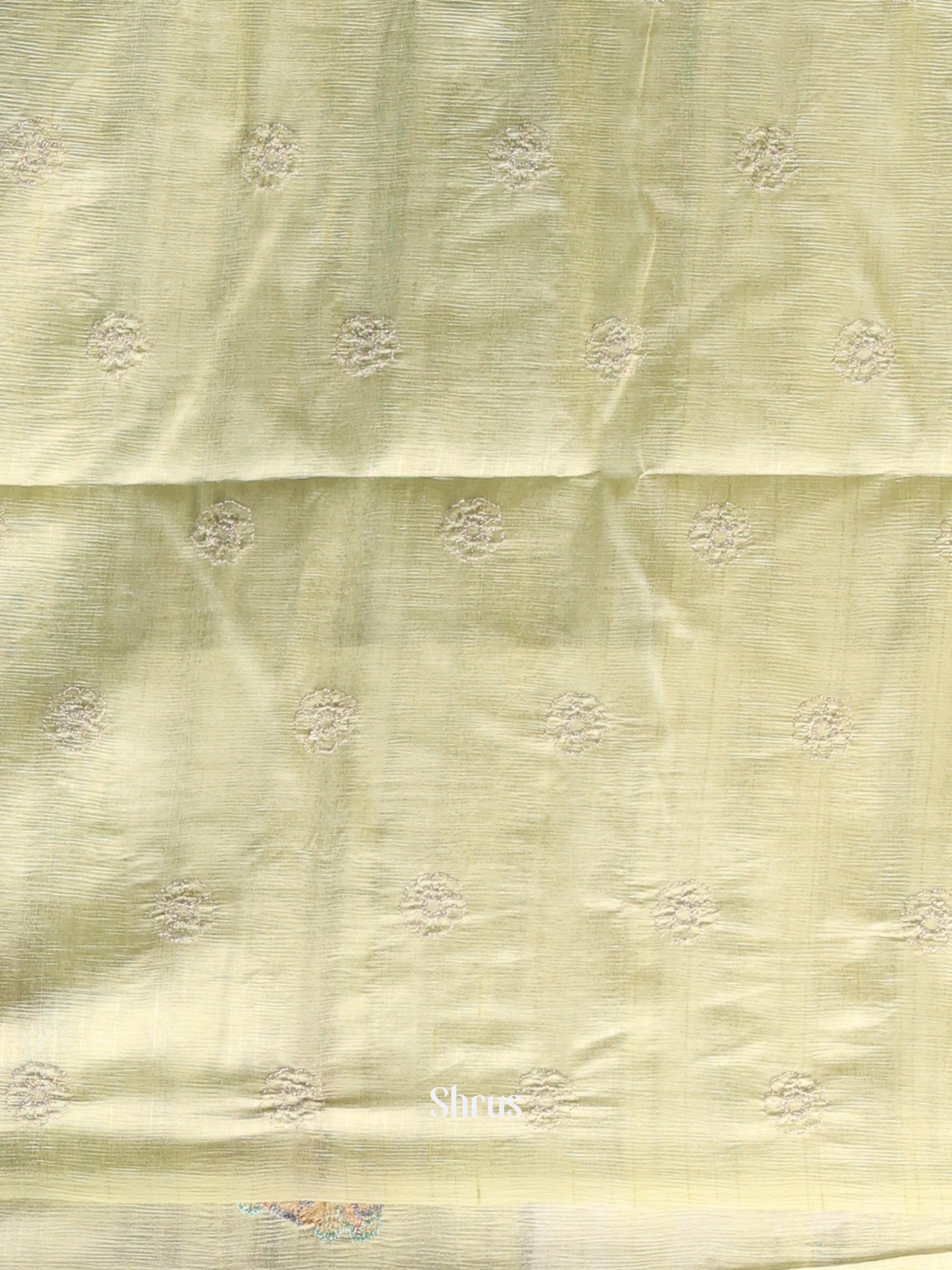 Pastel green - Semi Rawsilk Saree