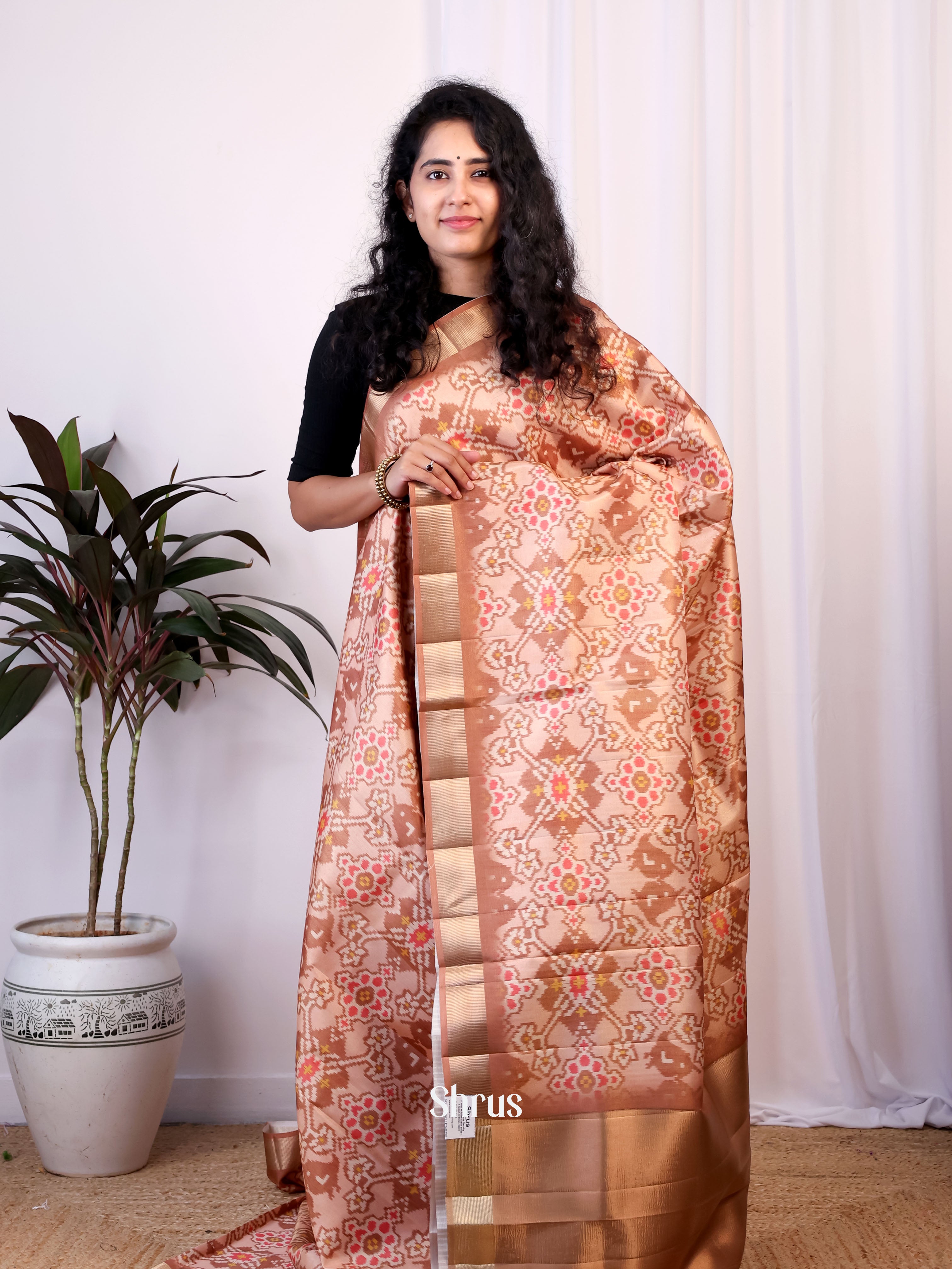 Brown - Semi Patola Saree