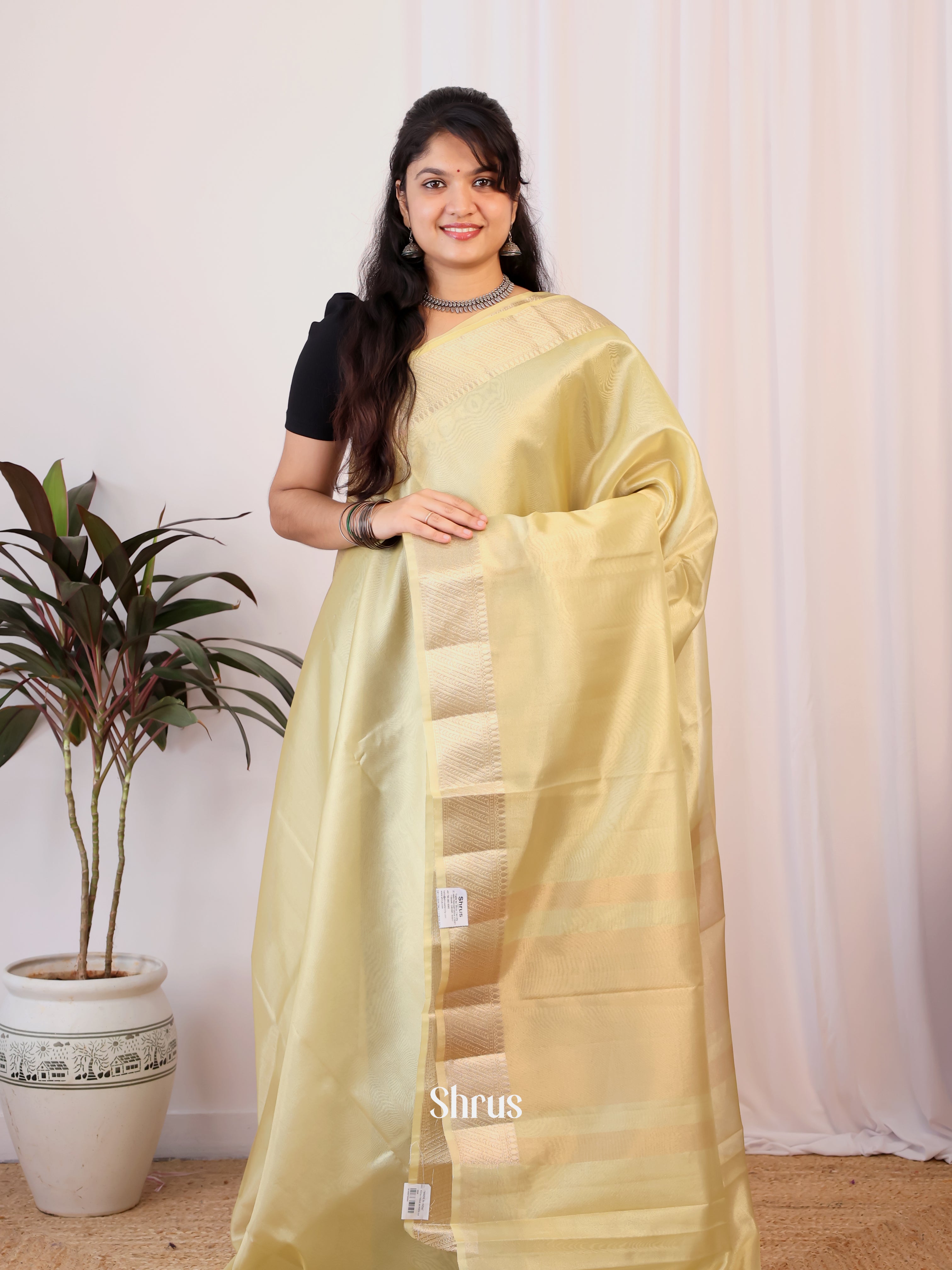 Cream - Semi Tissue Saree