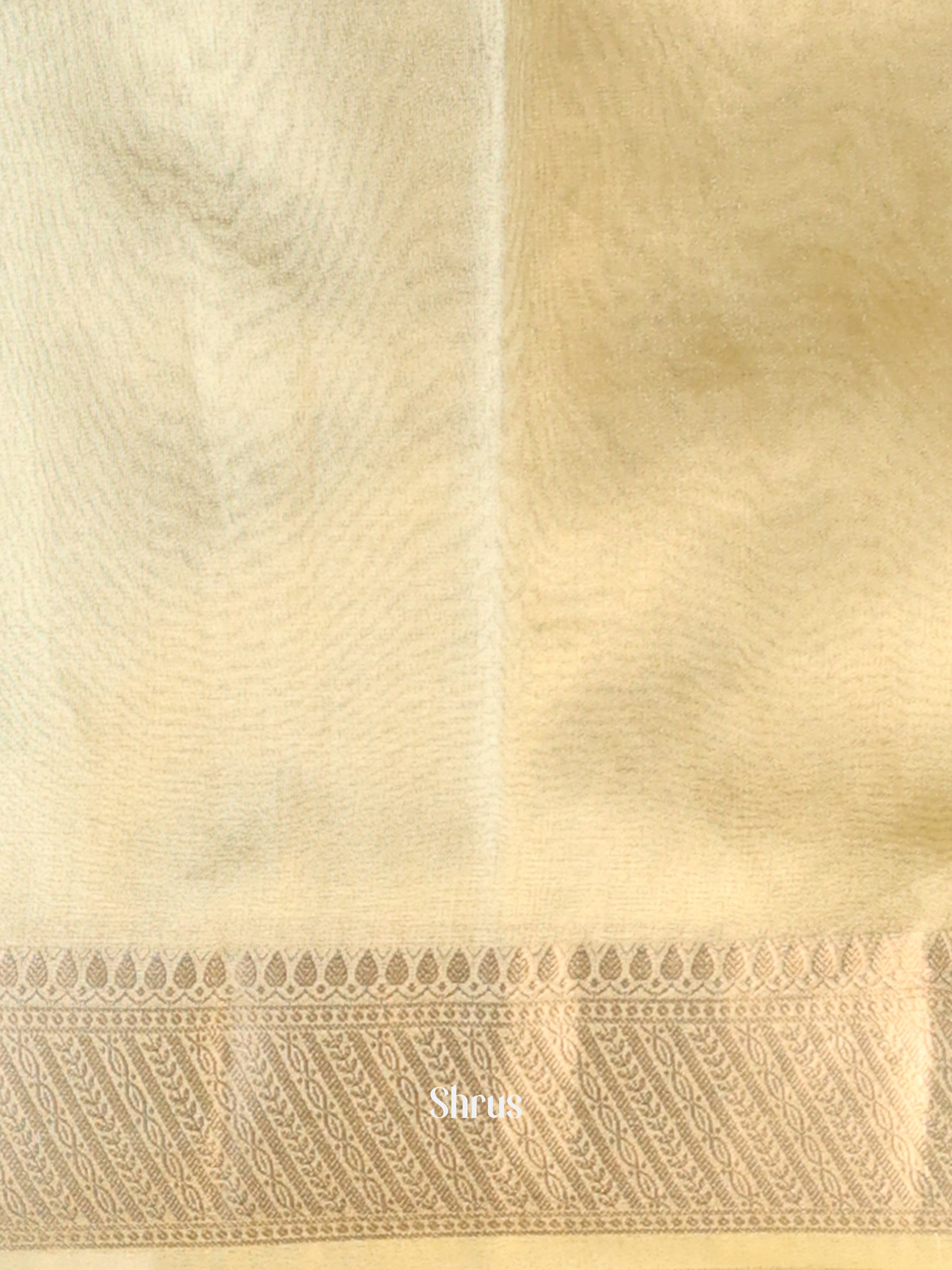 Cream - Semi Tissue Saree