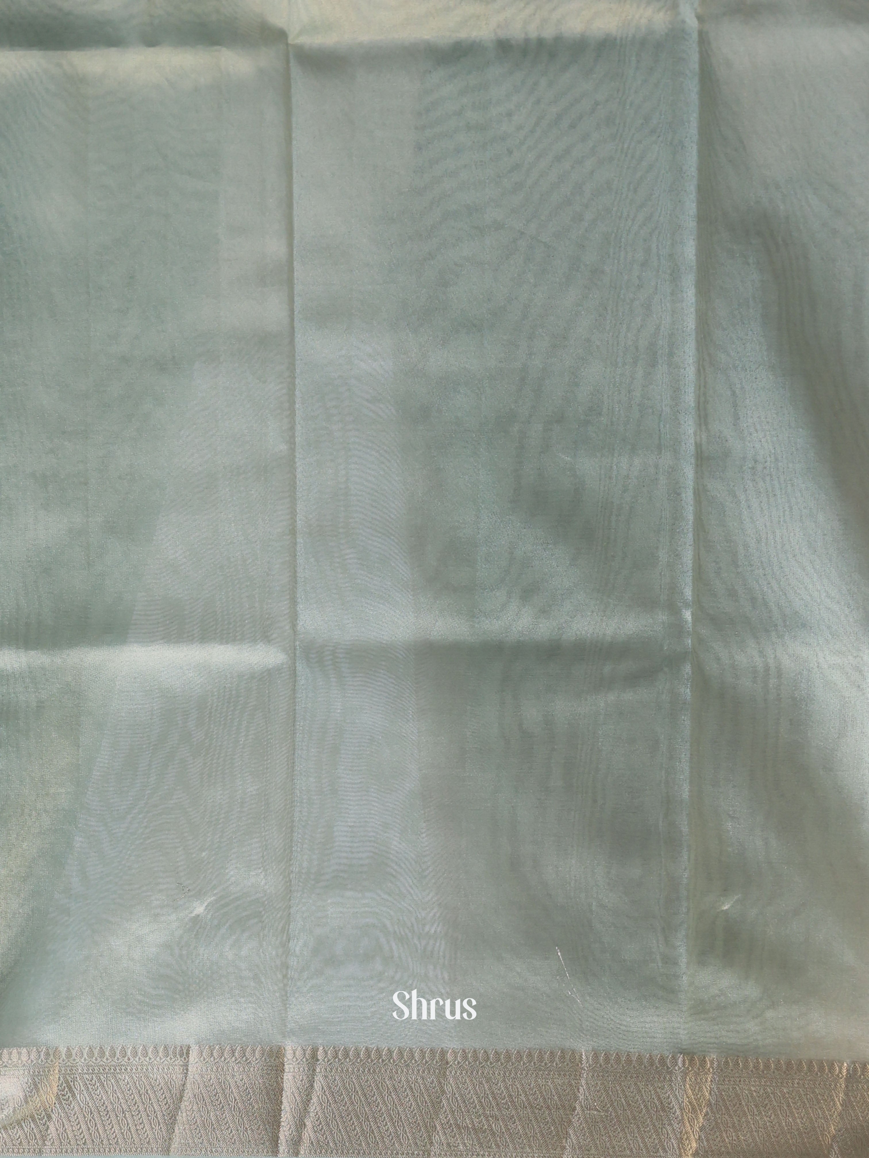 Grey - Semi Tissue Saree