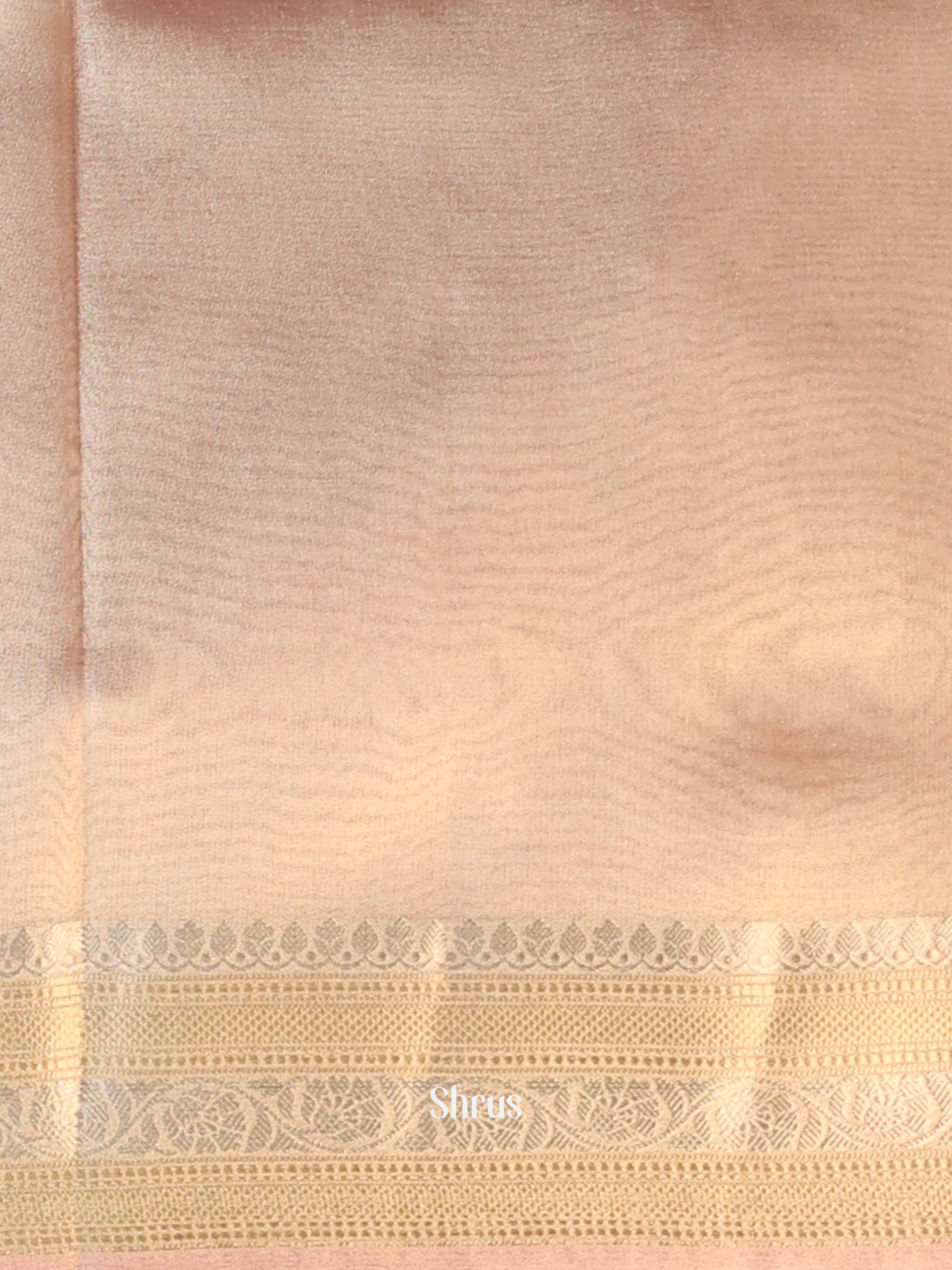 Pink  - Semi Tissue Saree