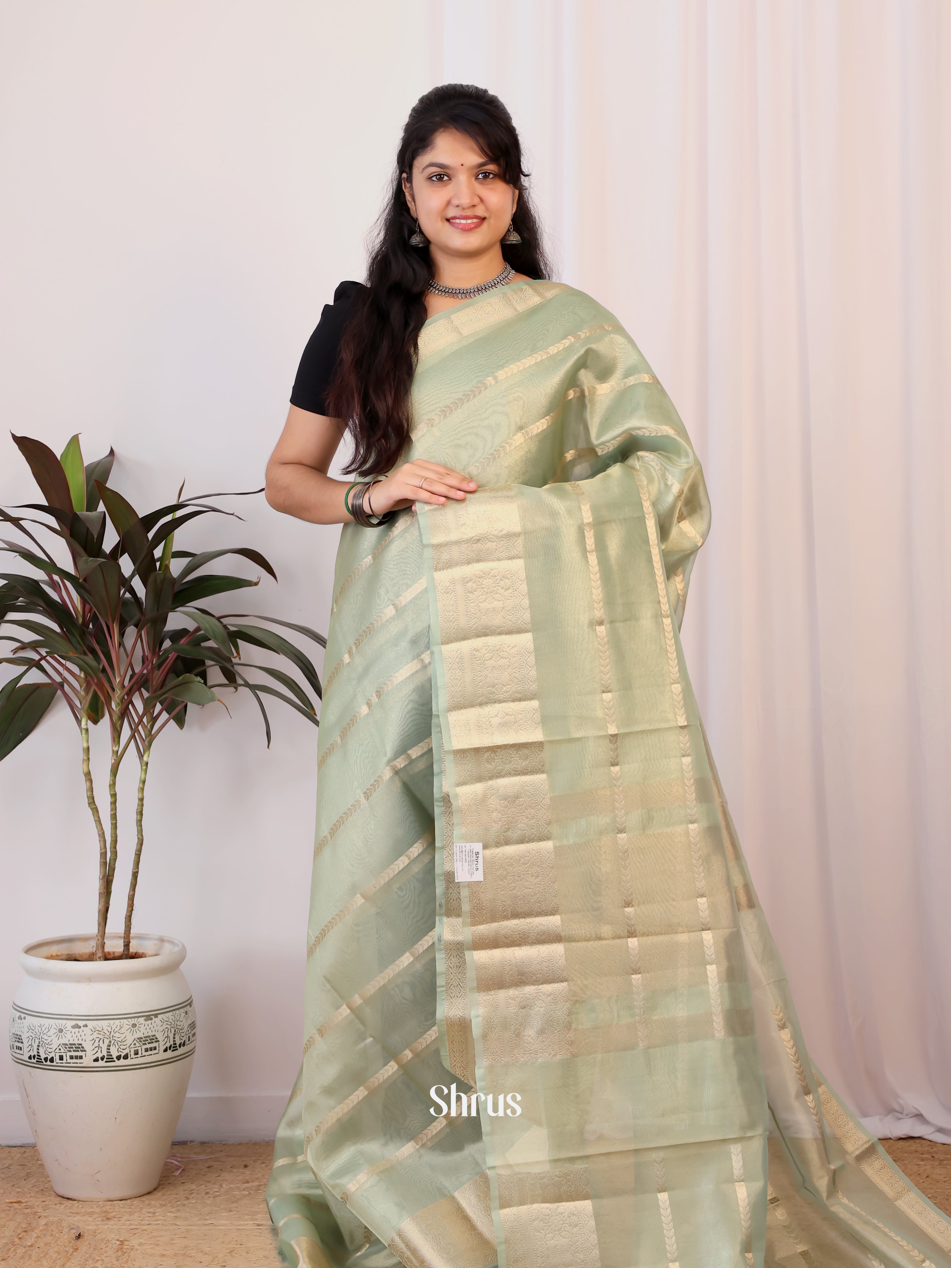 Lite Green - Semi Tissue Saree