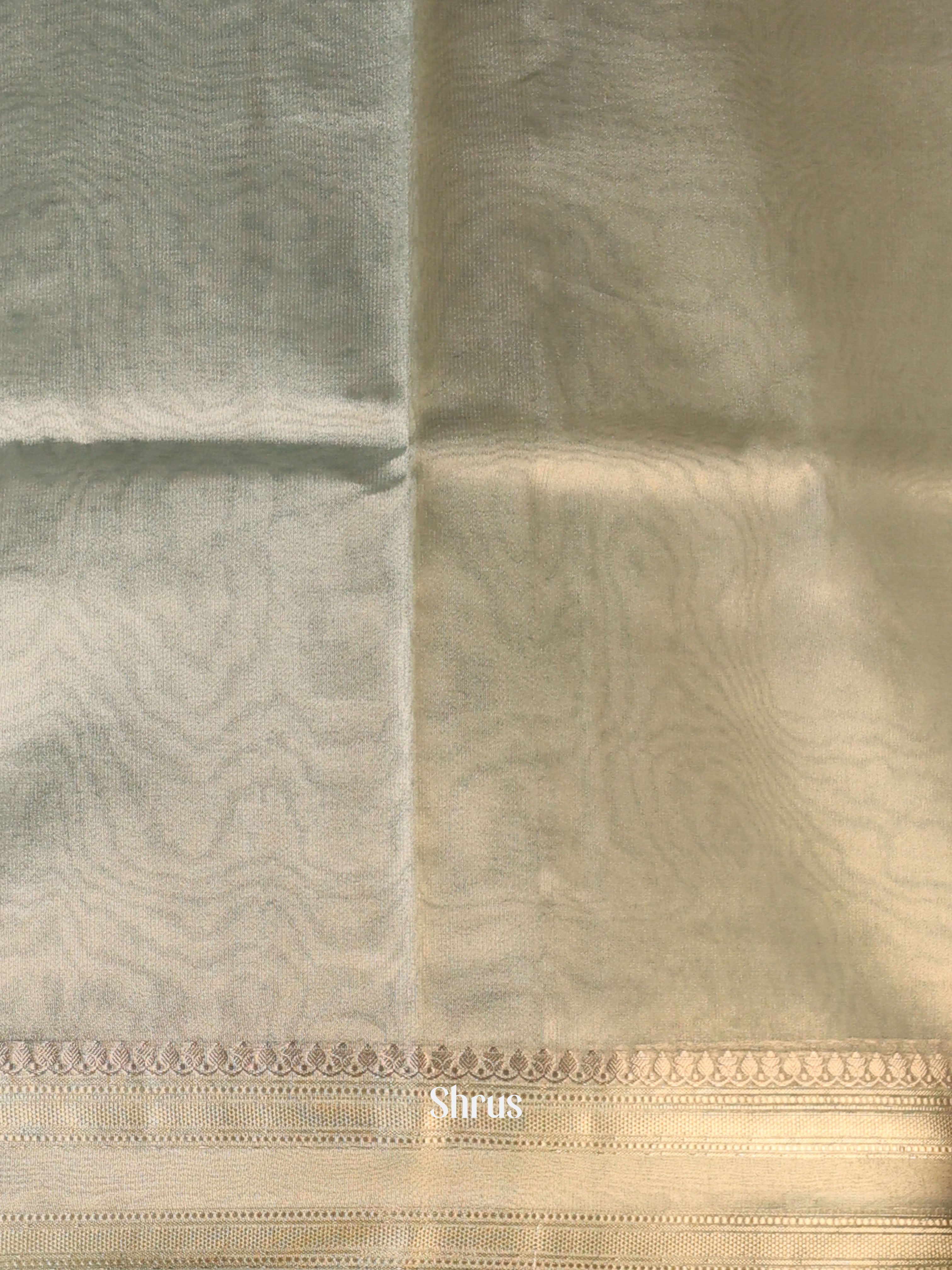 Grey - Semi Tissue Saree