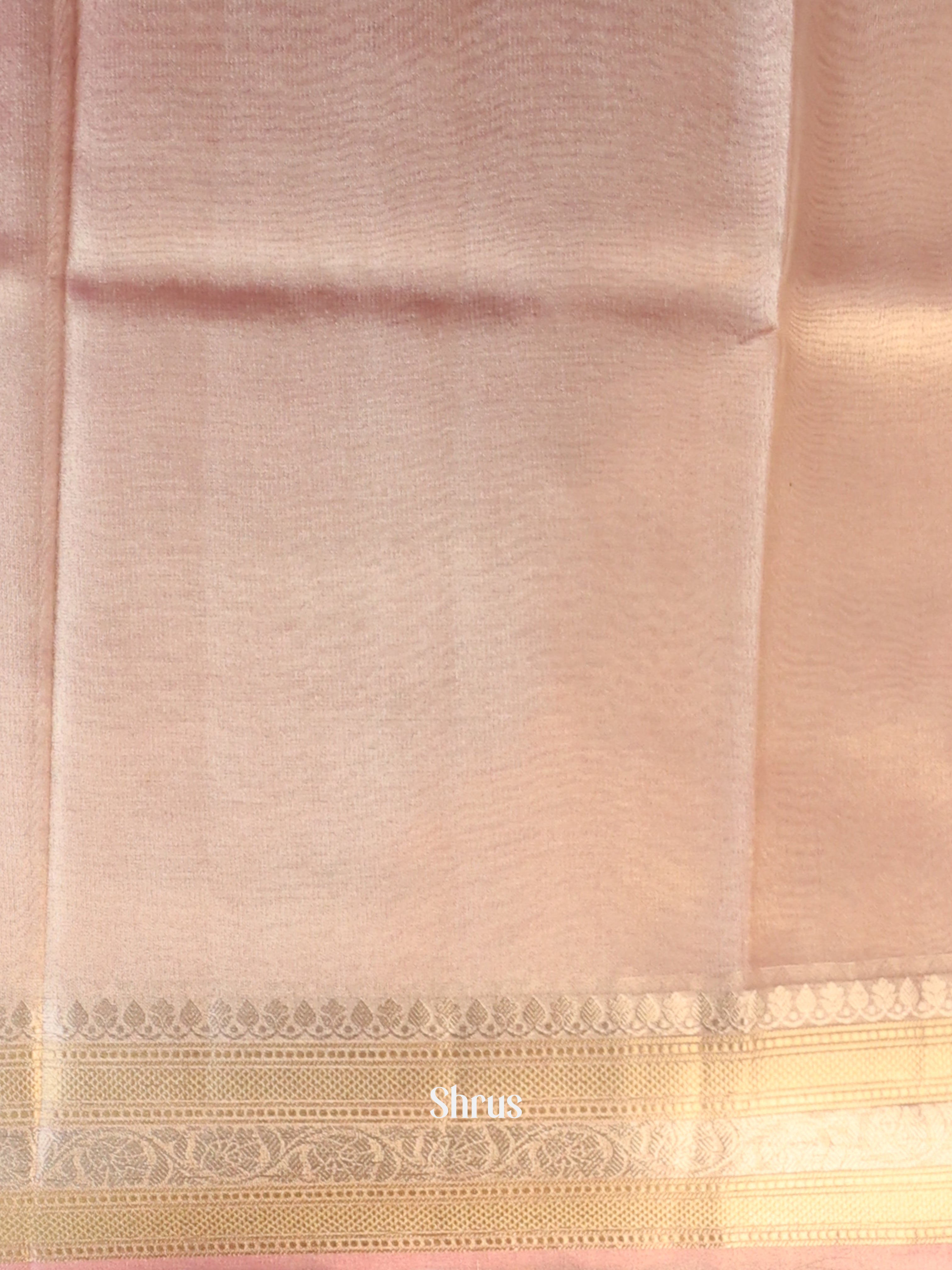 Pink - Semi Tissue Saree