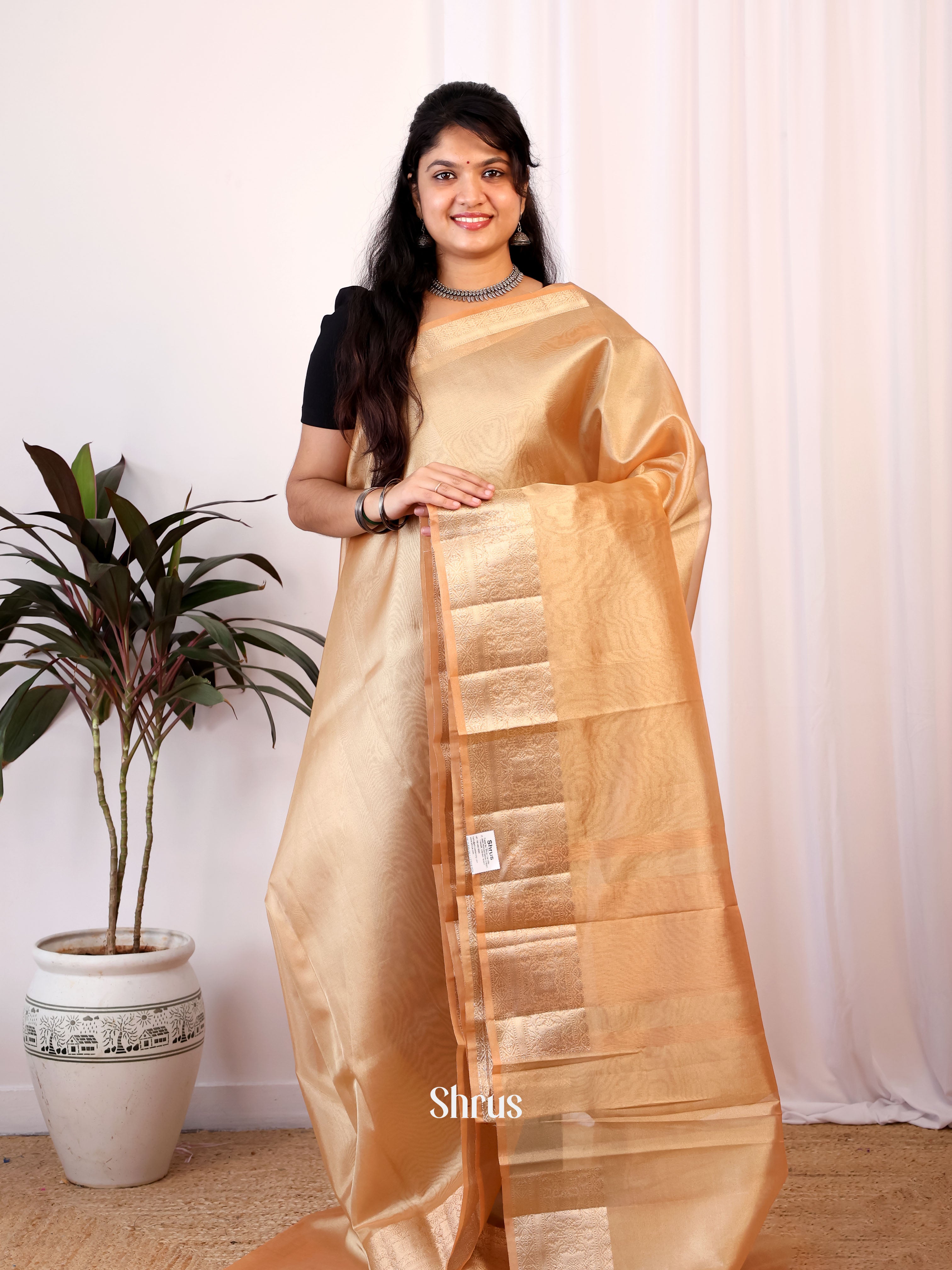 Orange - Semi Tissue Saree