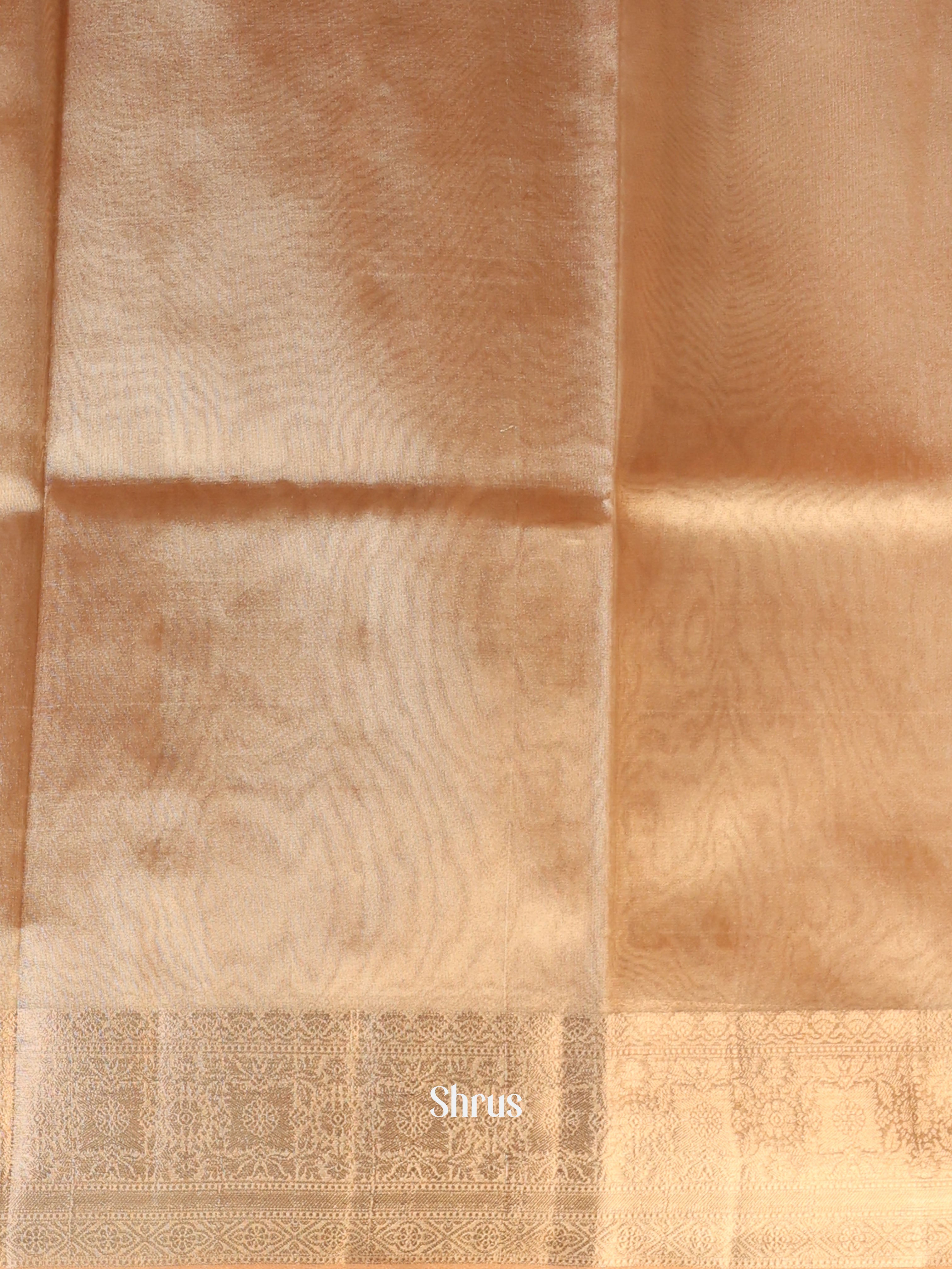 Orange - Semi Tissue Saree