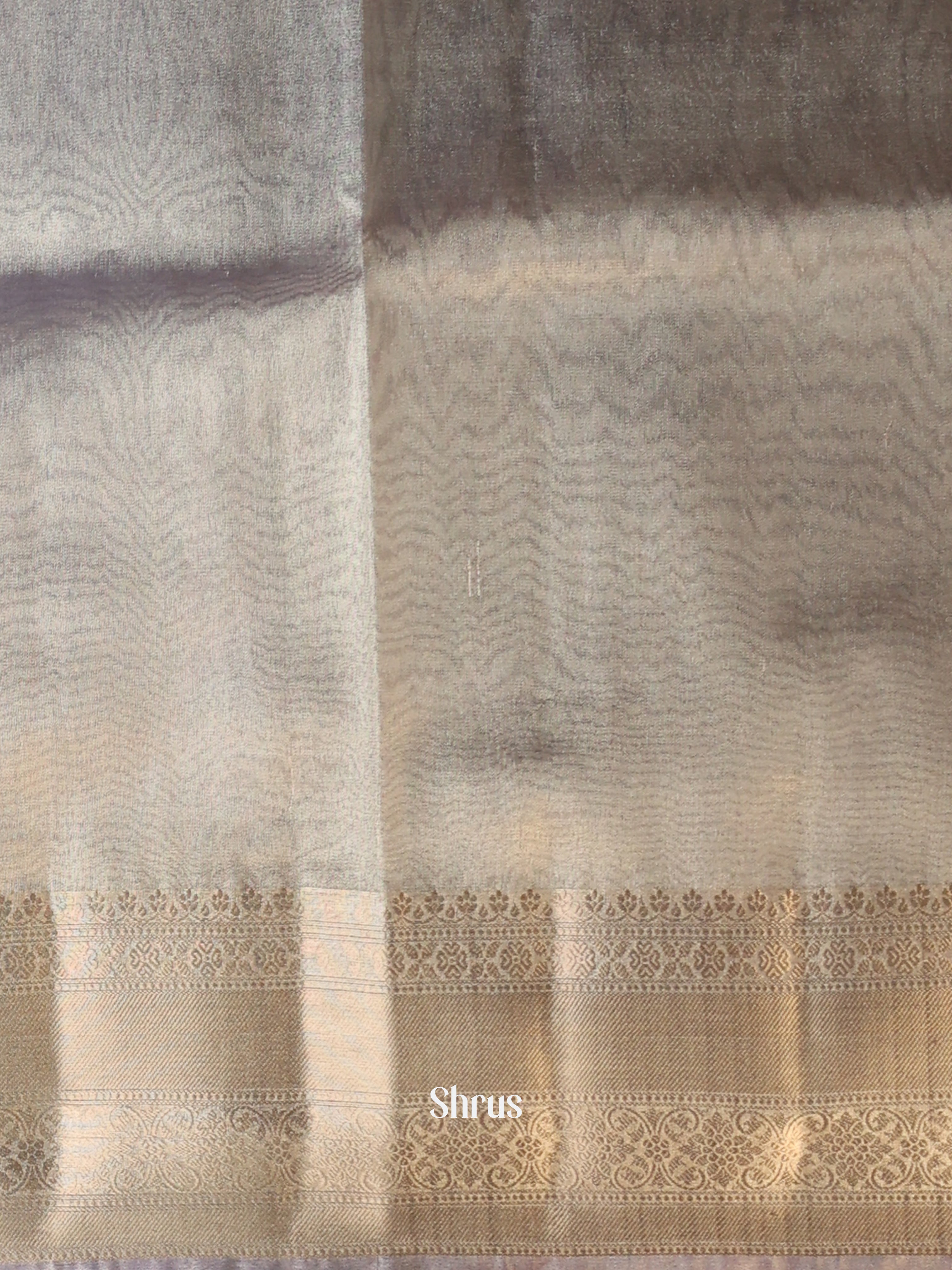 Grey - Semi Tissue Saree